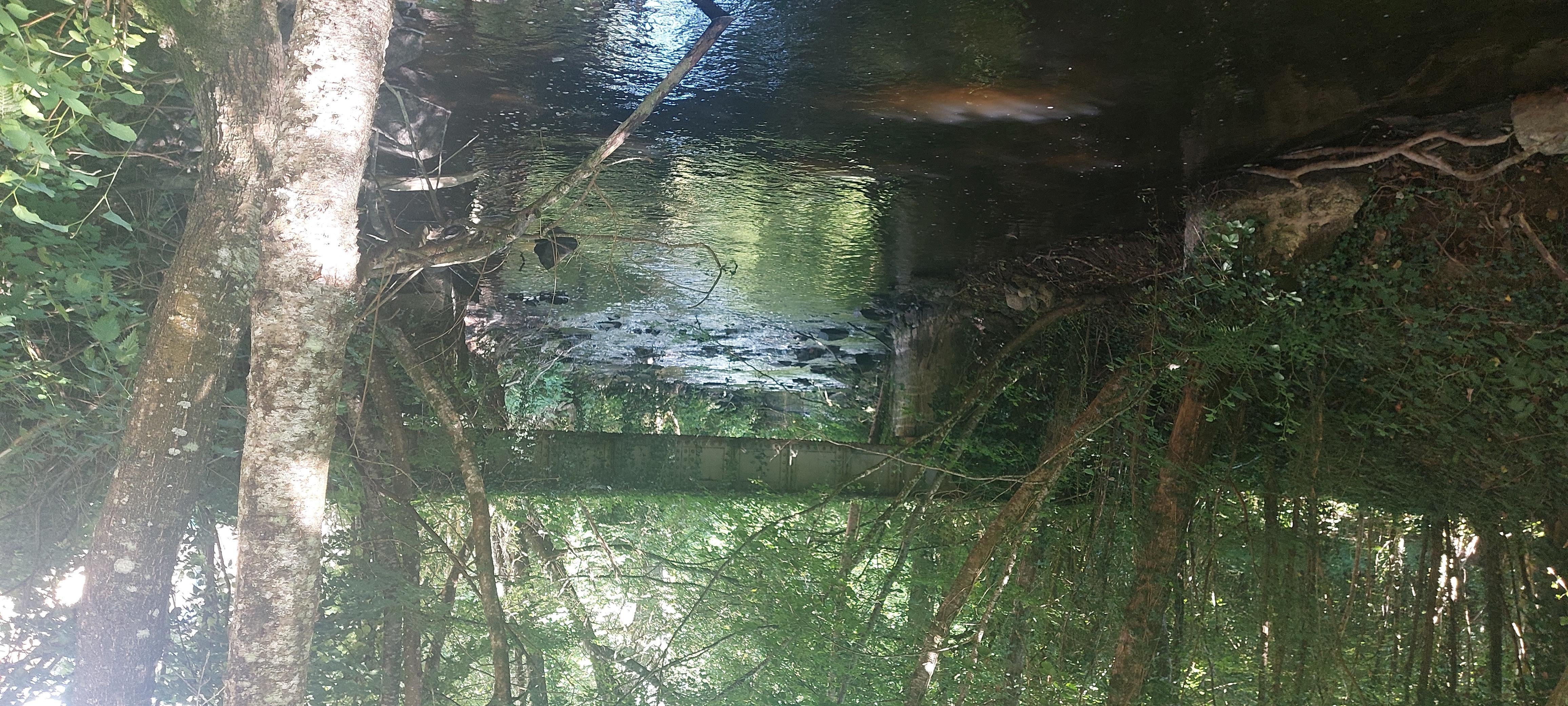 De rivier naast het huis.