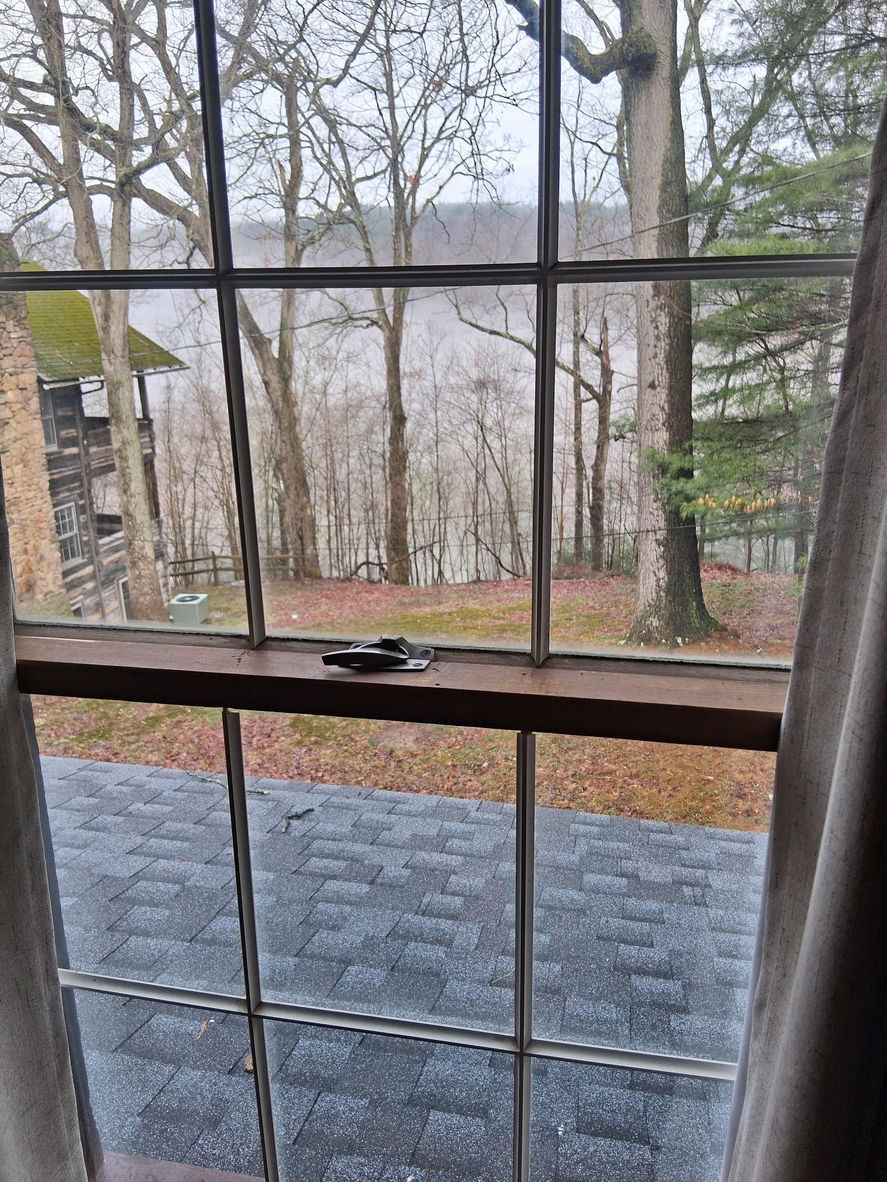 Back yard looking toward the Allegheny River