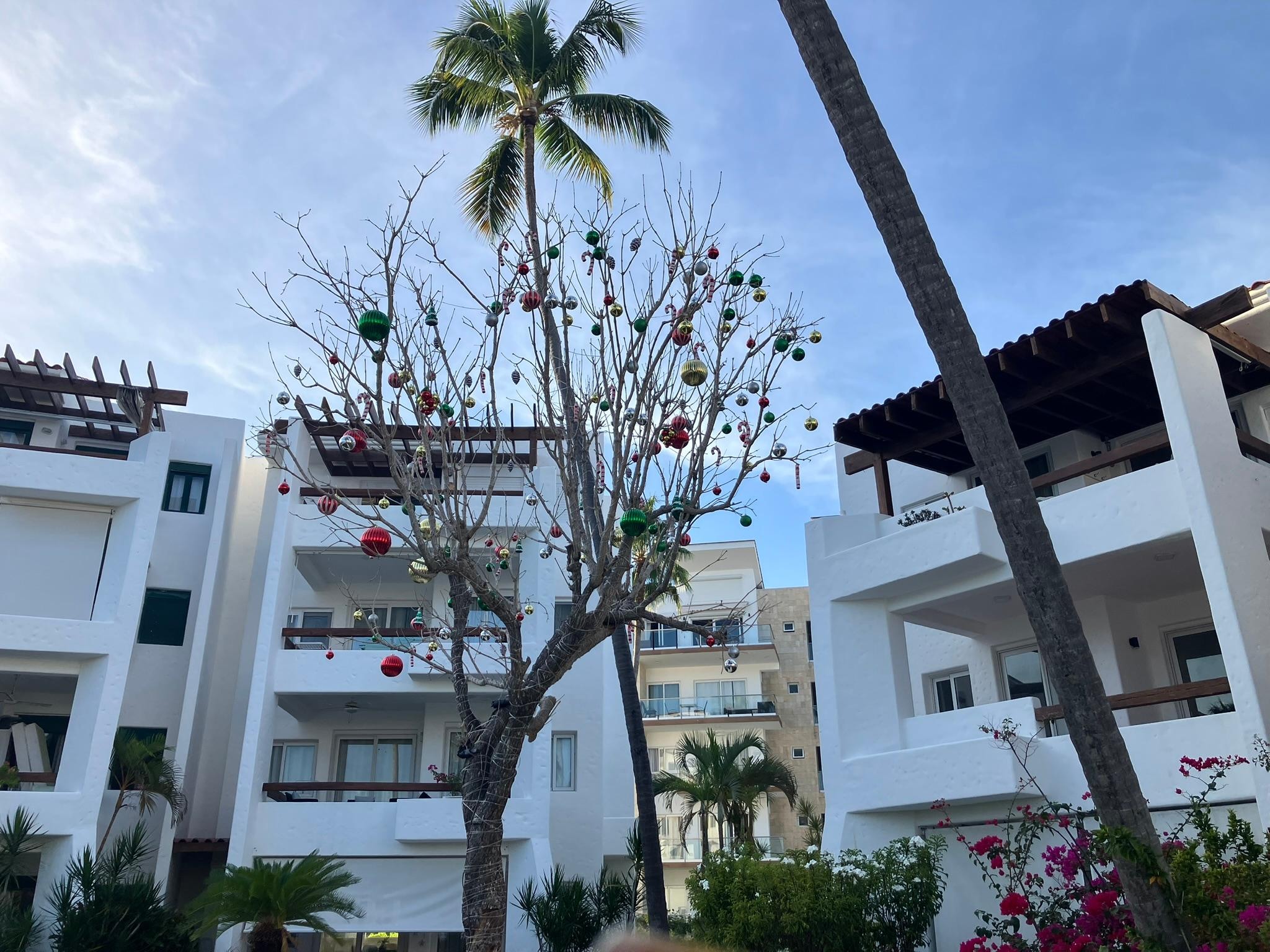 Even some Christmas decorations in 80 degree weather.