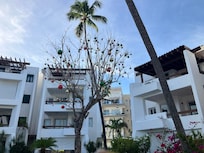 Even some Christmas decorations in 80 degree weather.