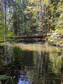 Capilano Suspension Bridge Park