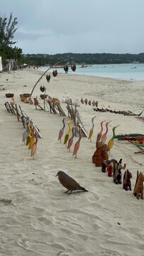 A calling bird talking with the carvings next door. The man here is extremely nice and will not ask you to buy anything like some vendors on the other parts of the beach do. Which is partly why I bought from him. He’s a really nice, mellow guy.