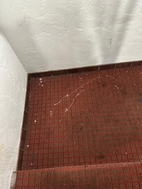 This was the stairwell headed to breakfast. There we worse areas.