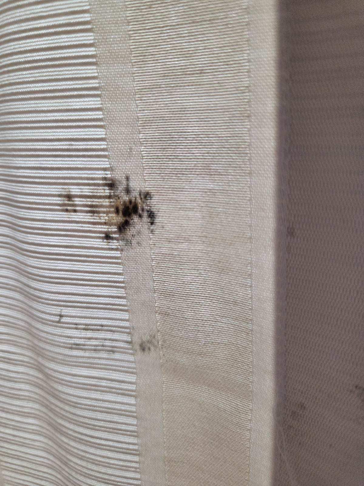 Mold on the curtains 