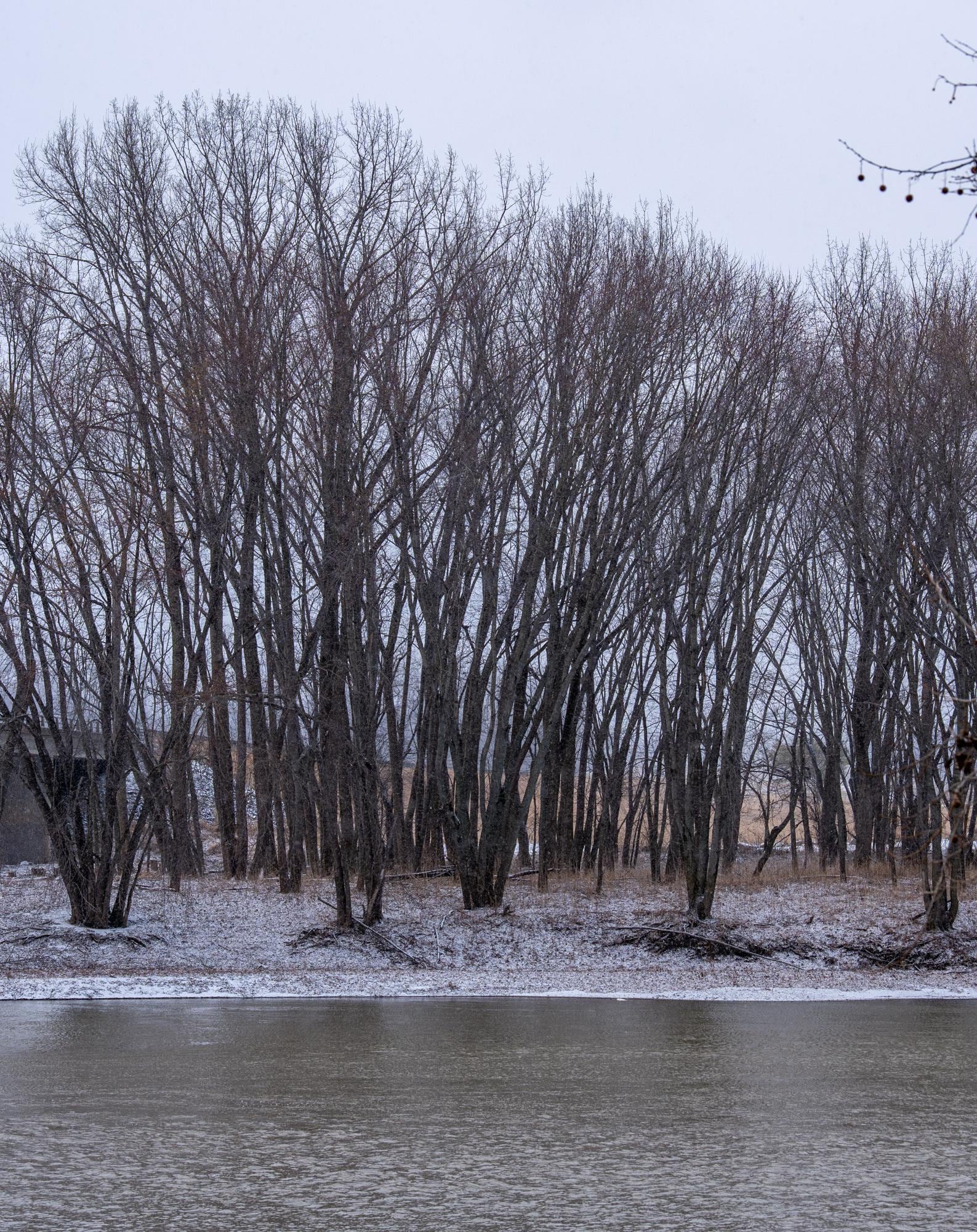 View across the river