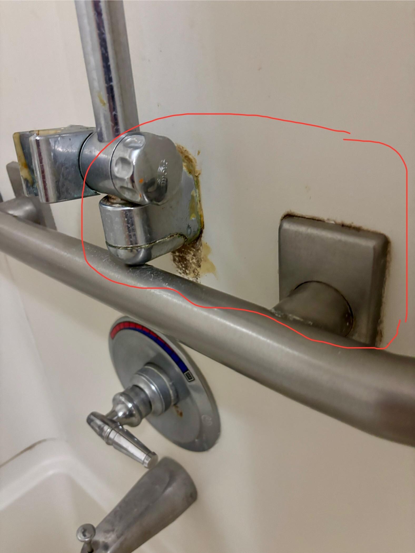 Mold around faucet fixtures