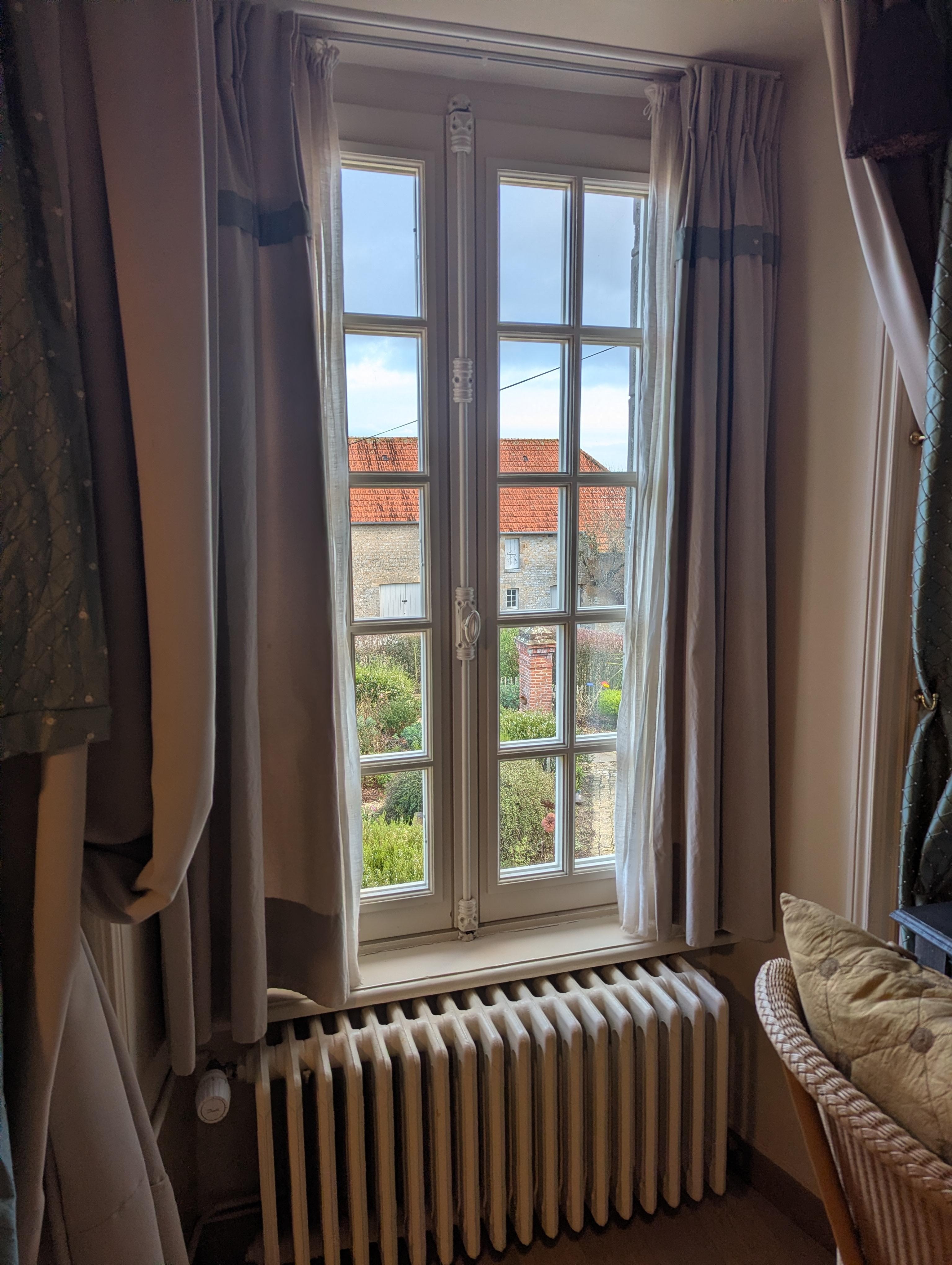 First morning light!  Beautifully green...even in winter!