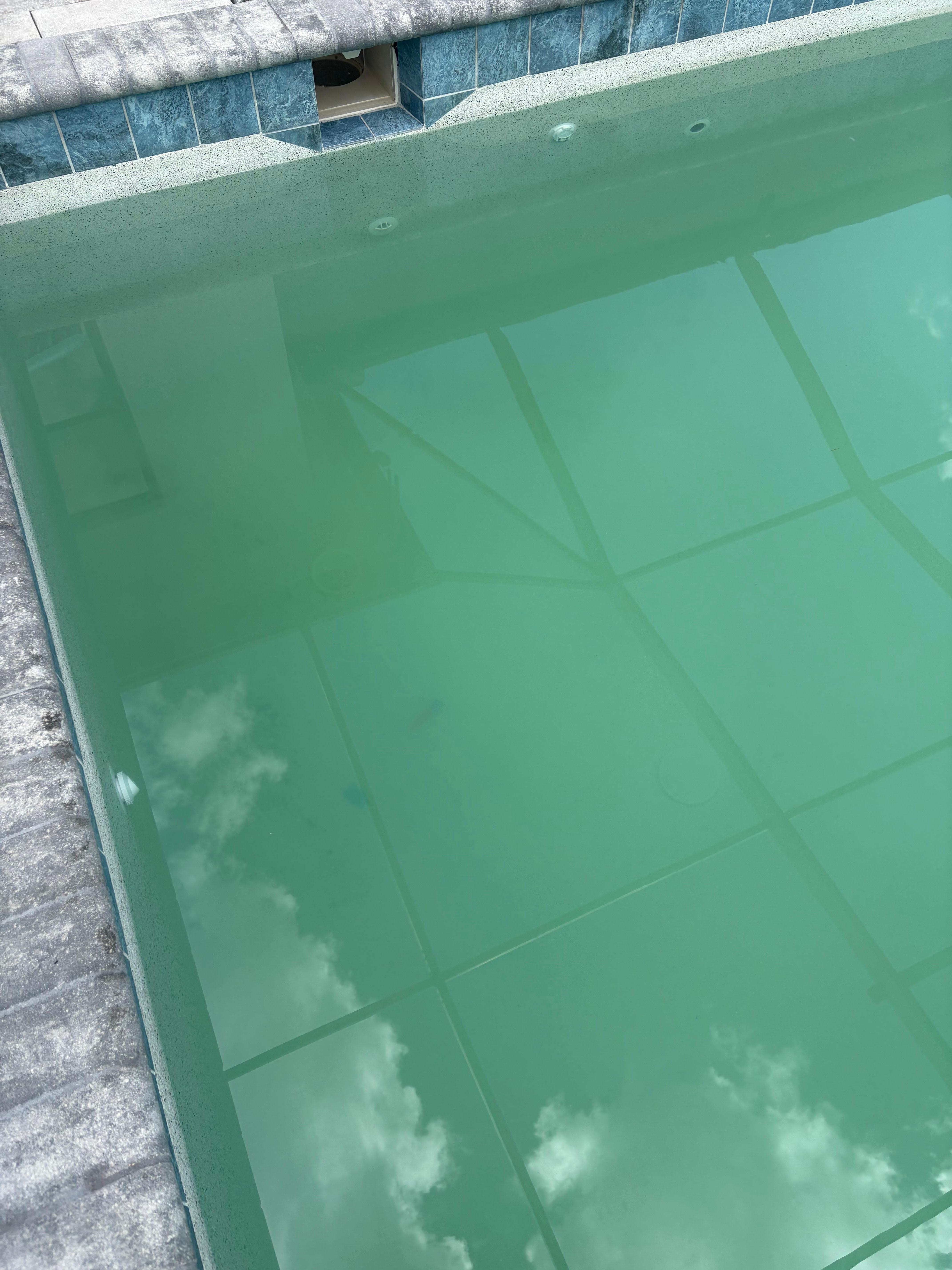 Would you swim in this water?
