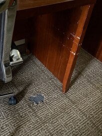Carpet torn