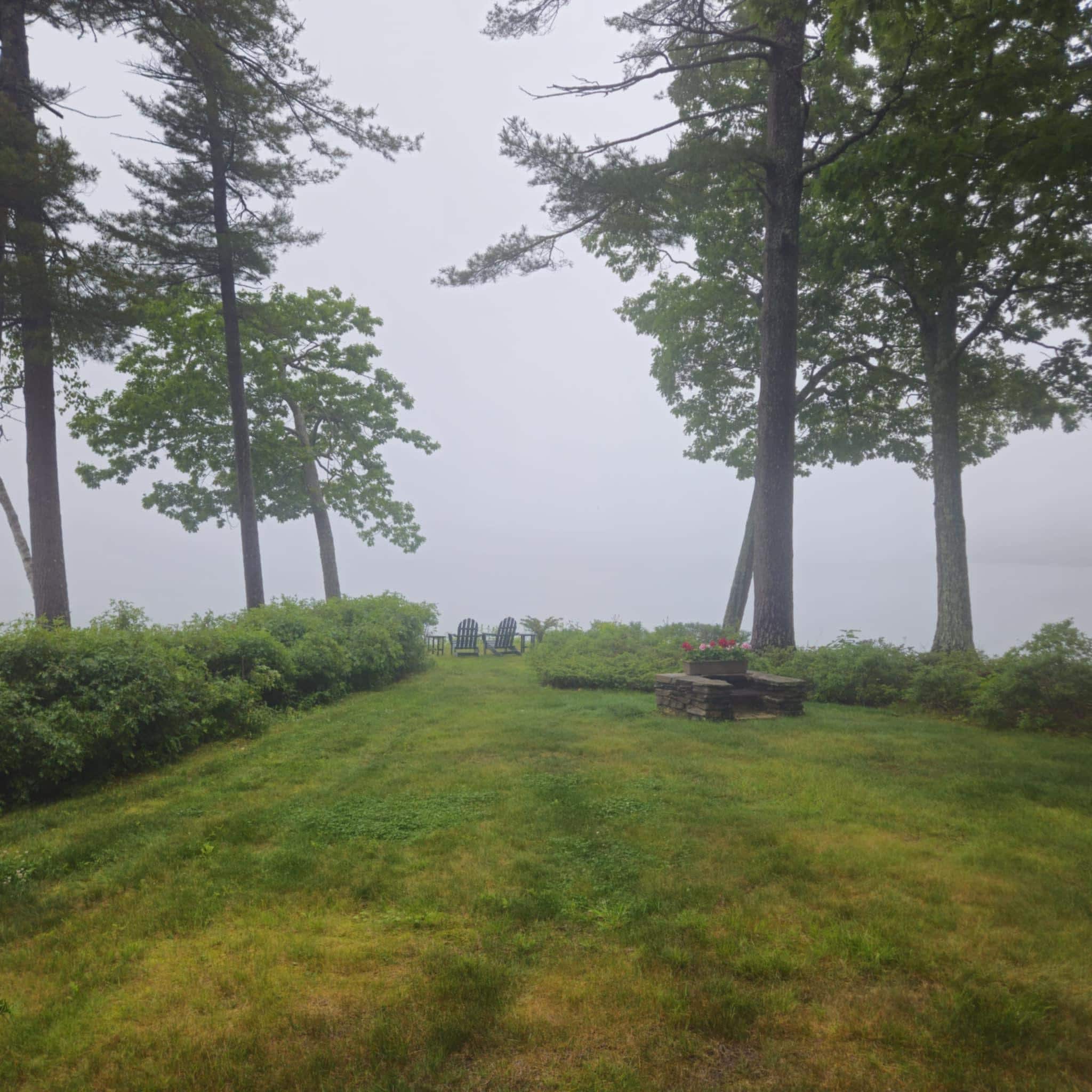 View from the cottage on a foggy morning