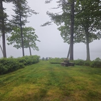View from the cottage on a foggy morning