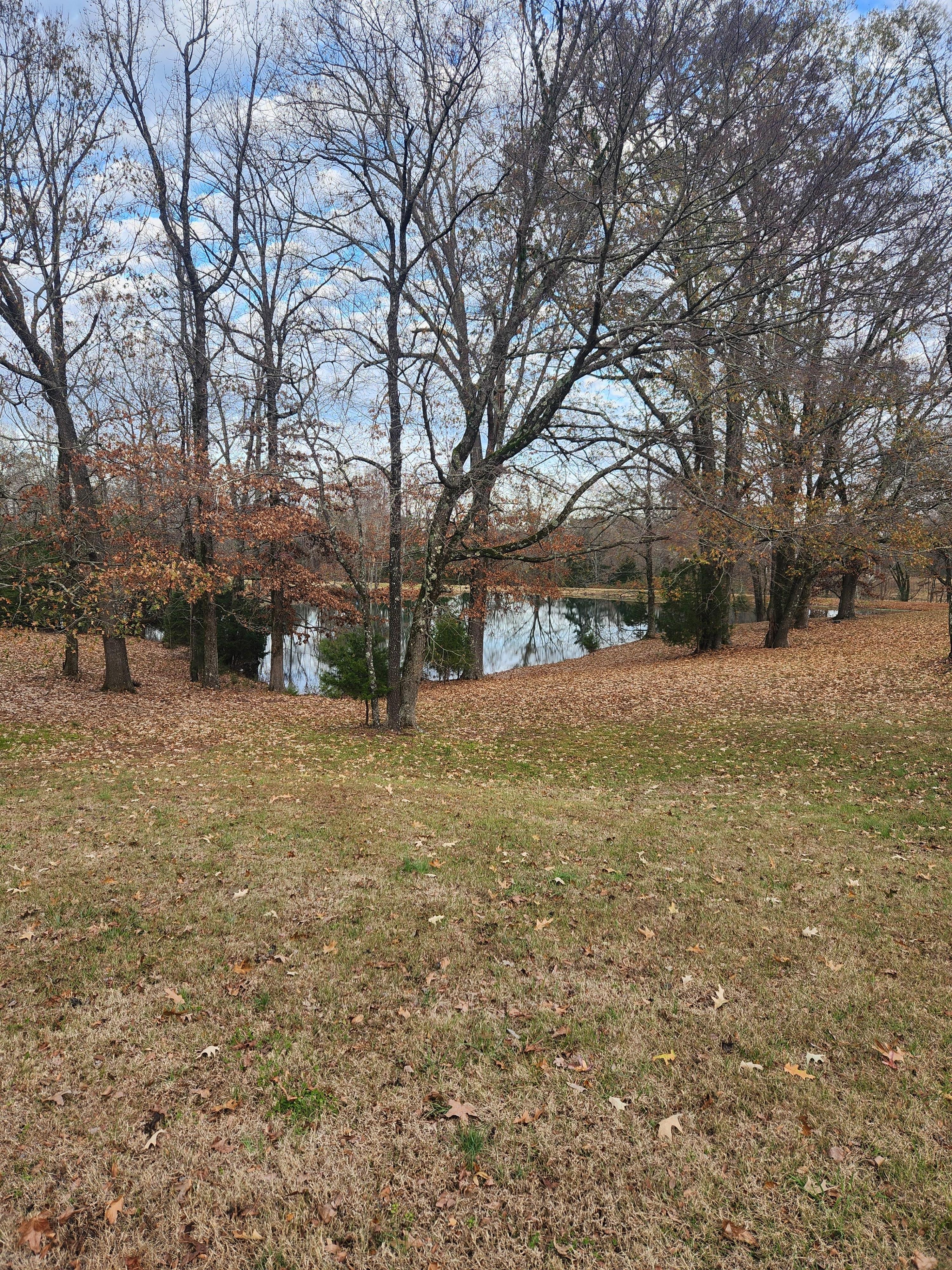 The view from the porch. Perfect