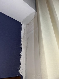 Mold