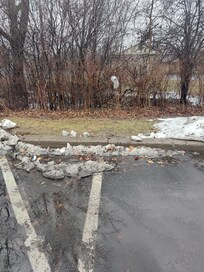 Garbage and debris on the grounds