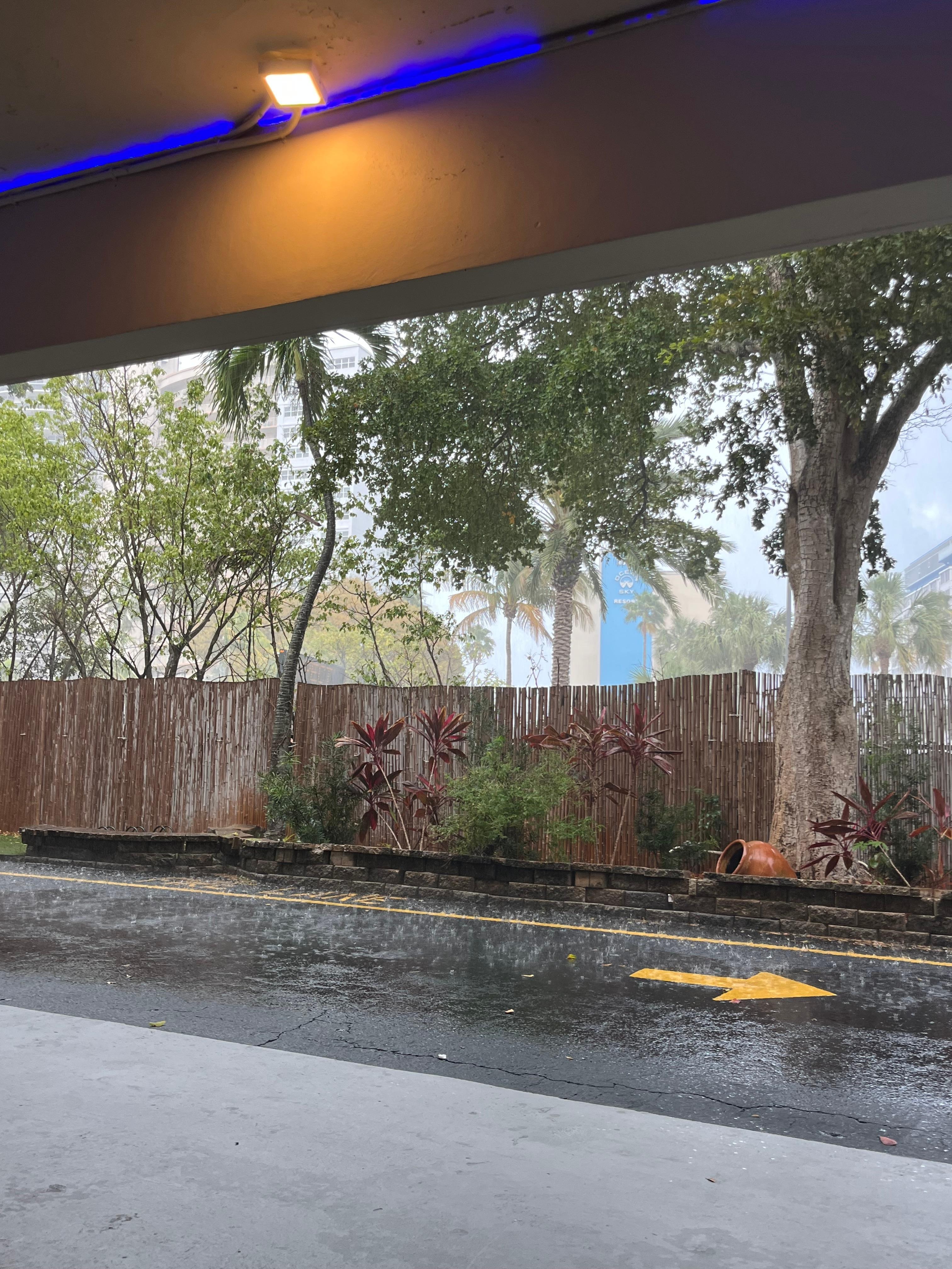 View from outside seating area outside lobby. 