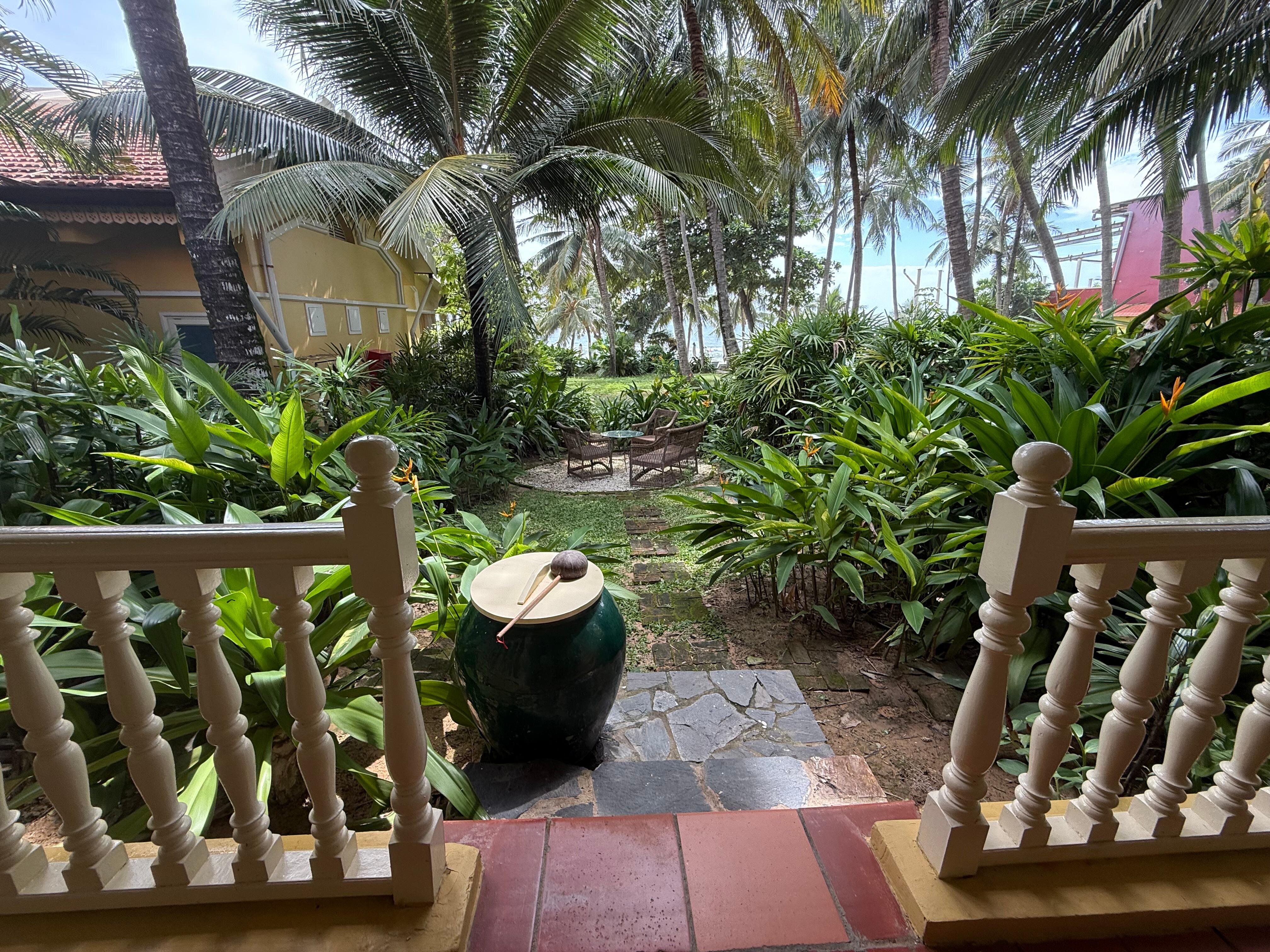 The view from the room. 