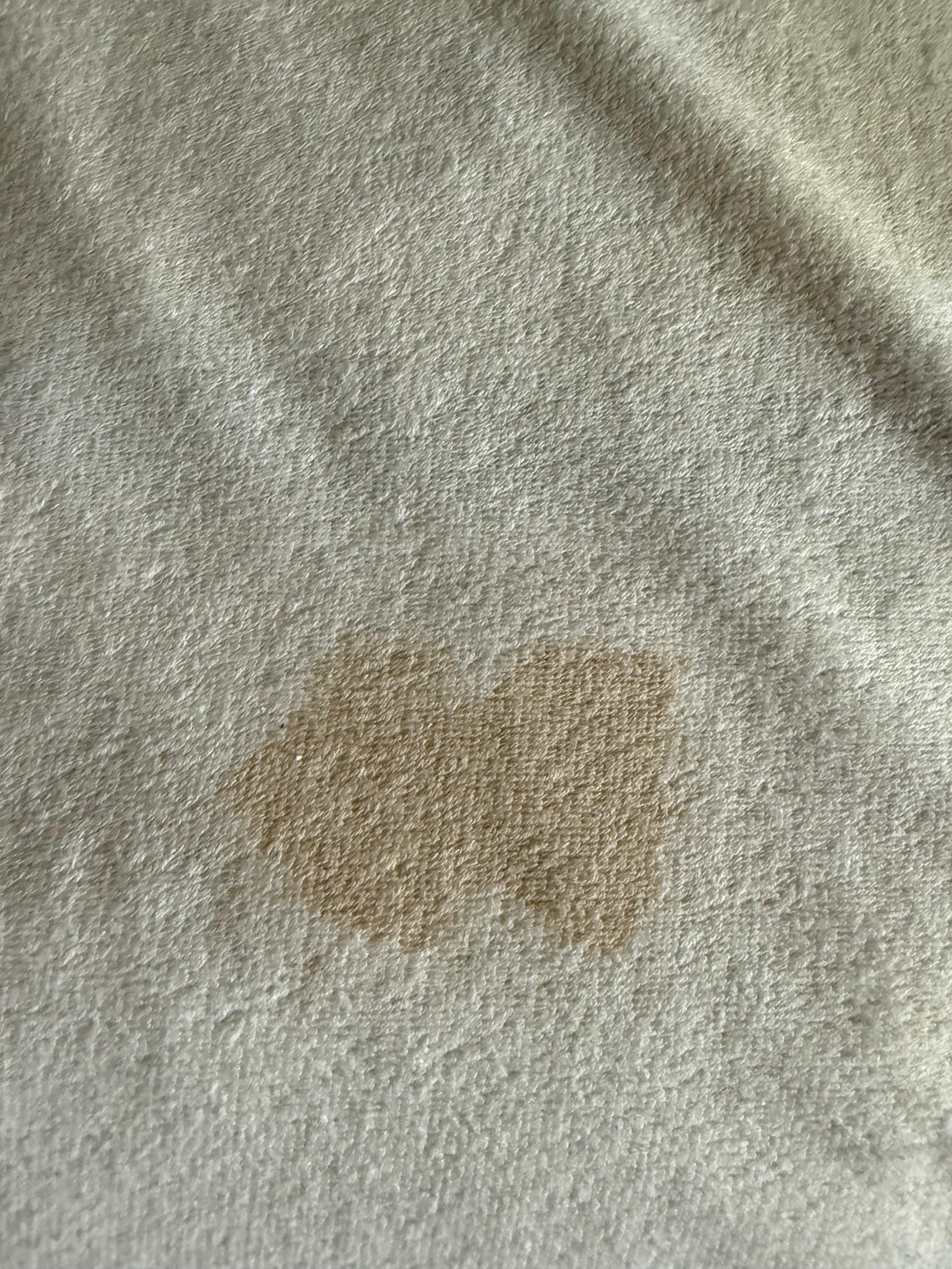 This was ON MY MASTER BEDROOM BED!! 