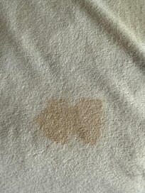 This was ON MY MASTER BEDROOM BED!!