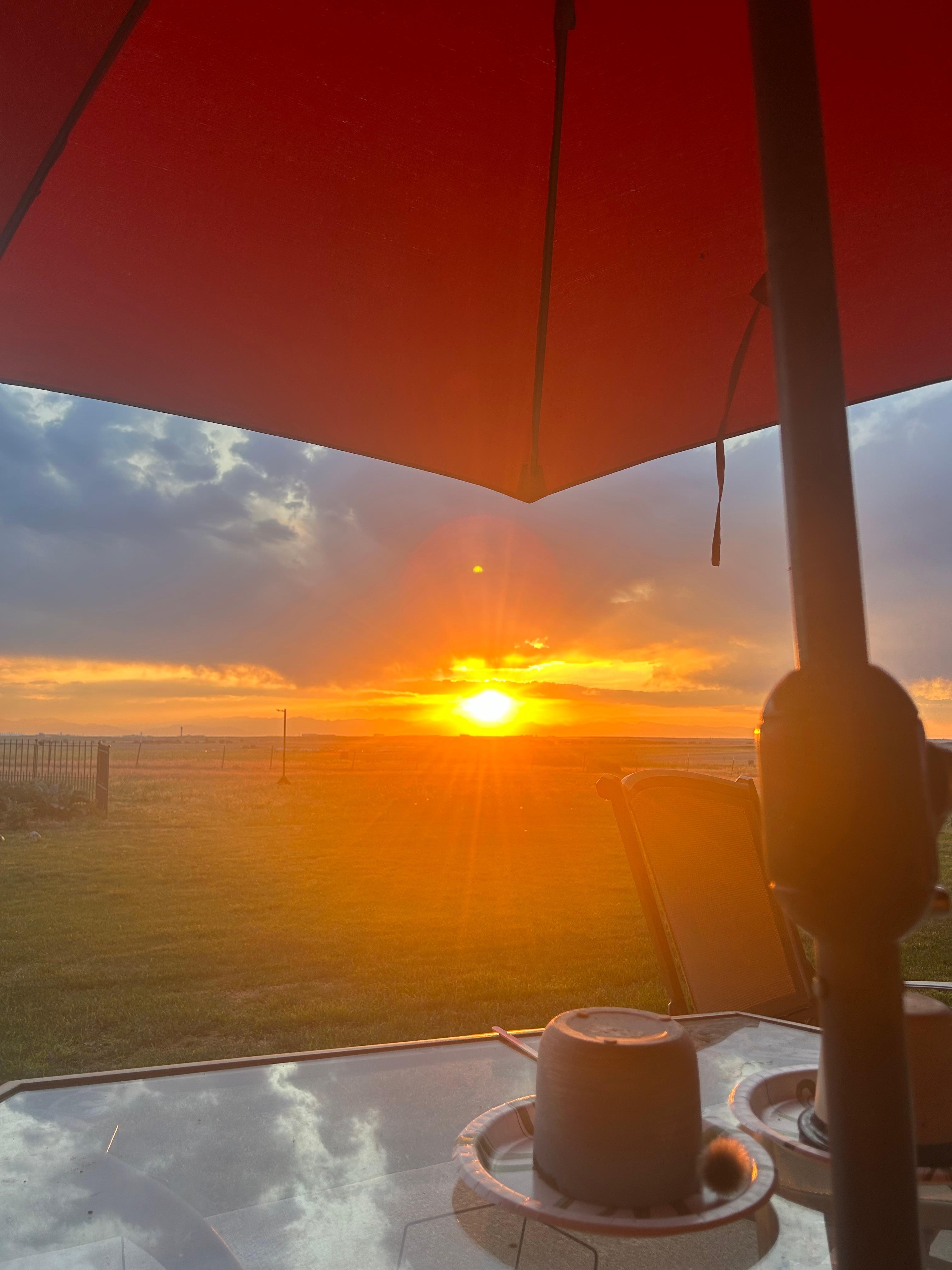 Vue de la terrasse