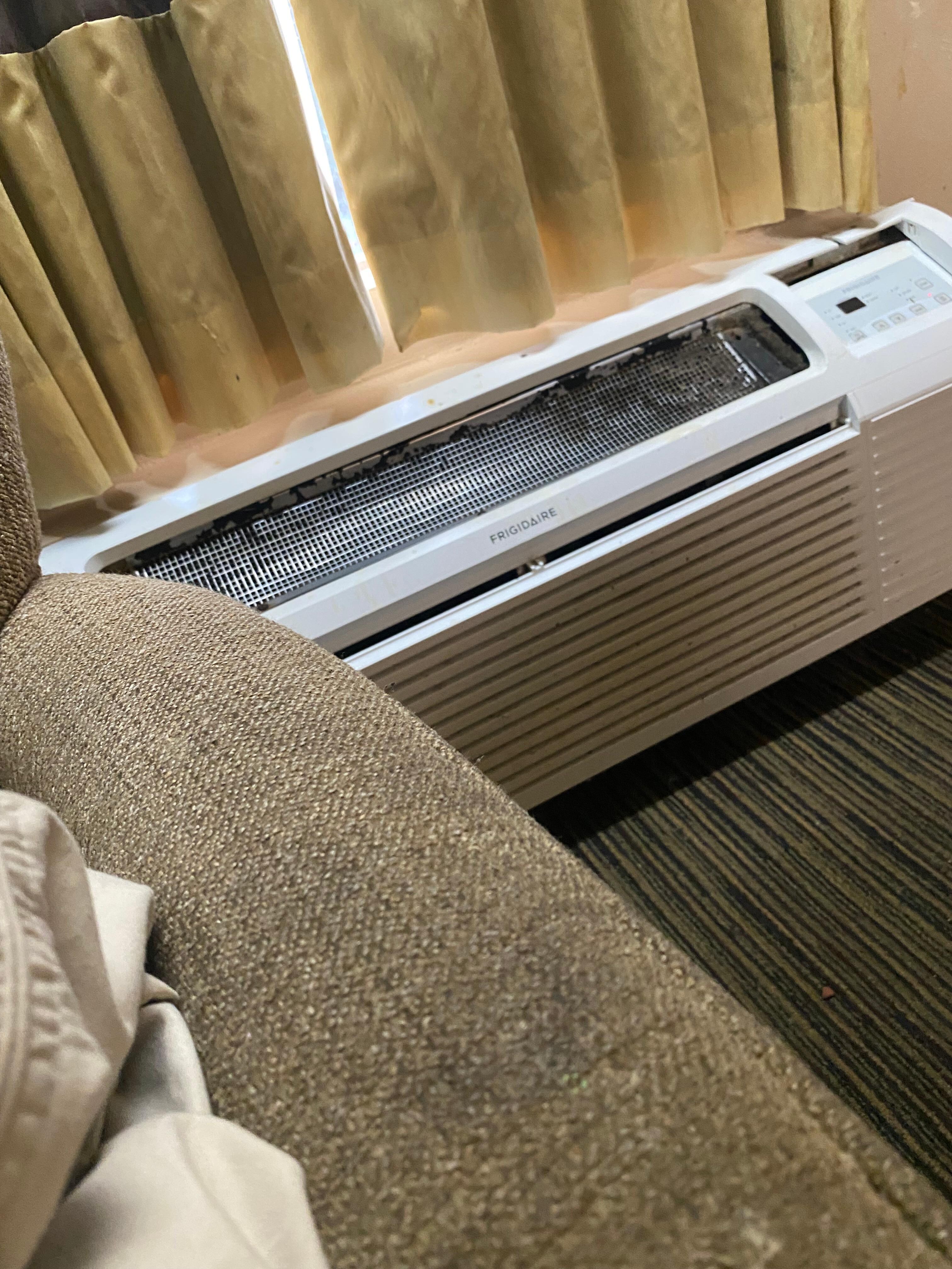 Moldy ac unit