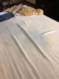 This is blanket that was under topper!!!