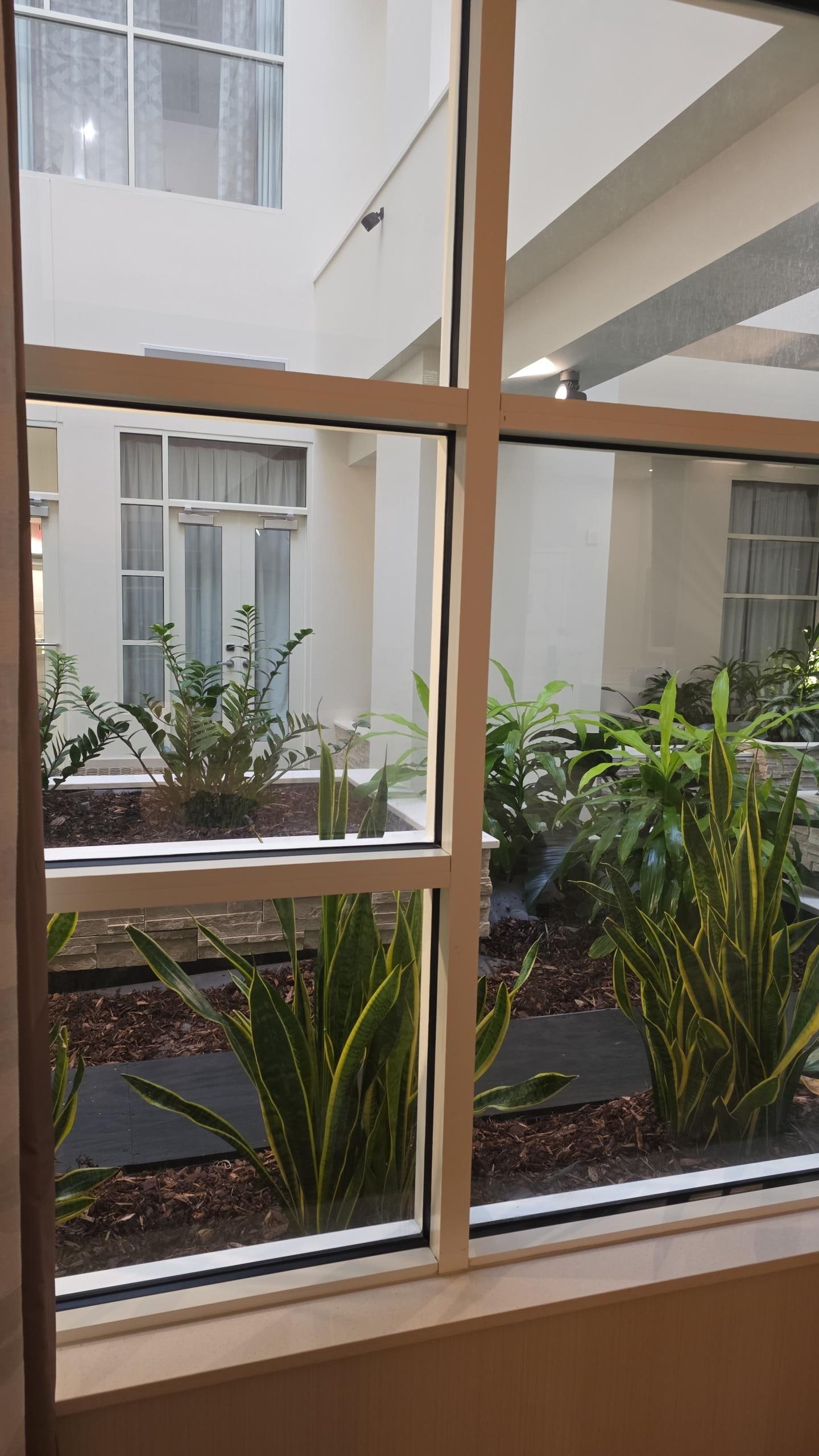 View outside our room work double doors yaay led to this nice little garden area. 