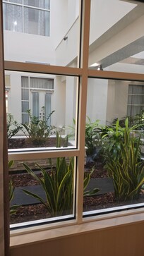 View outside our room work double doors yaay led to this nice little garden area.