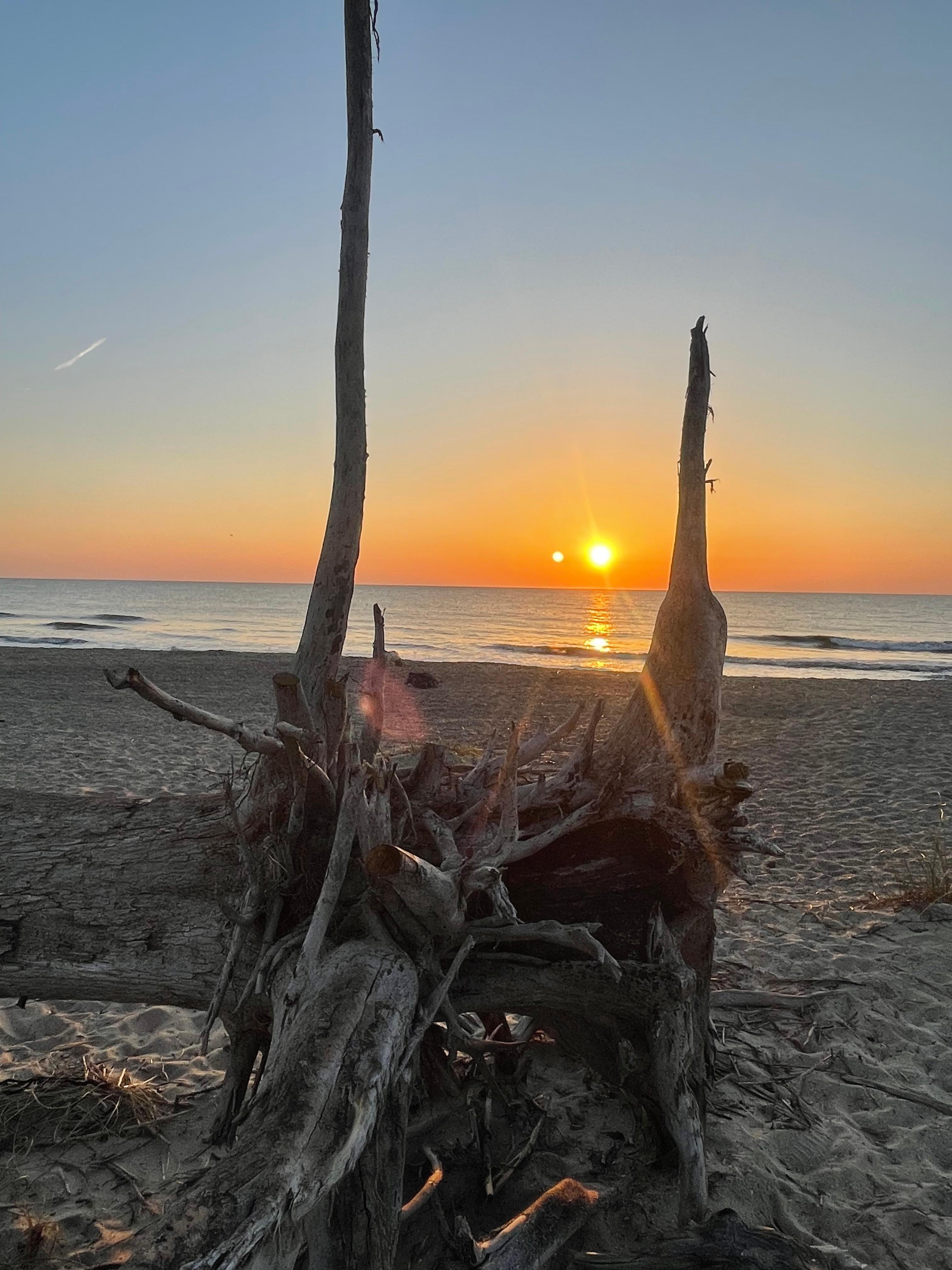Sunrise