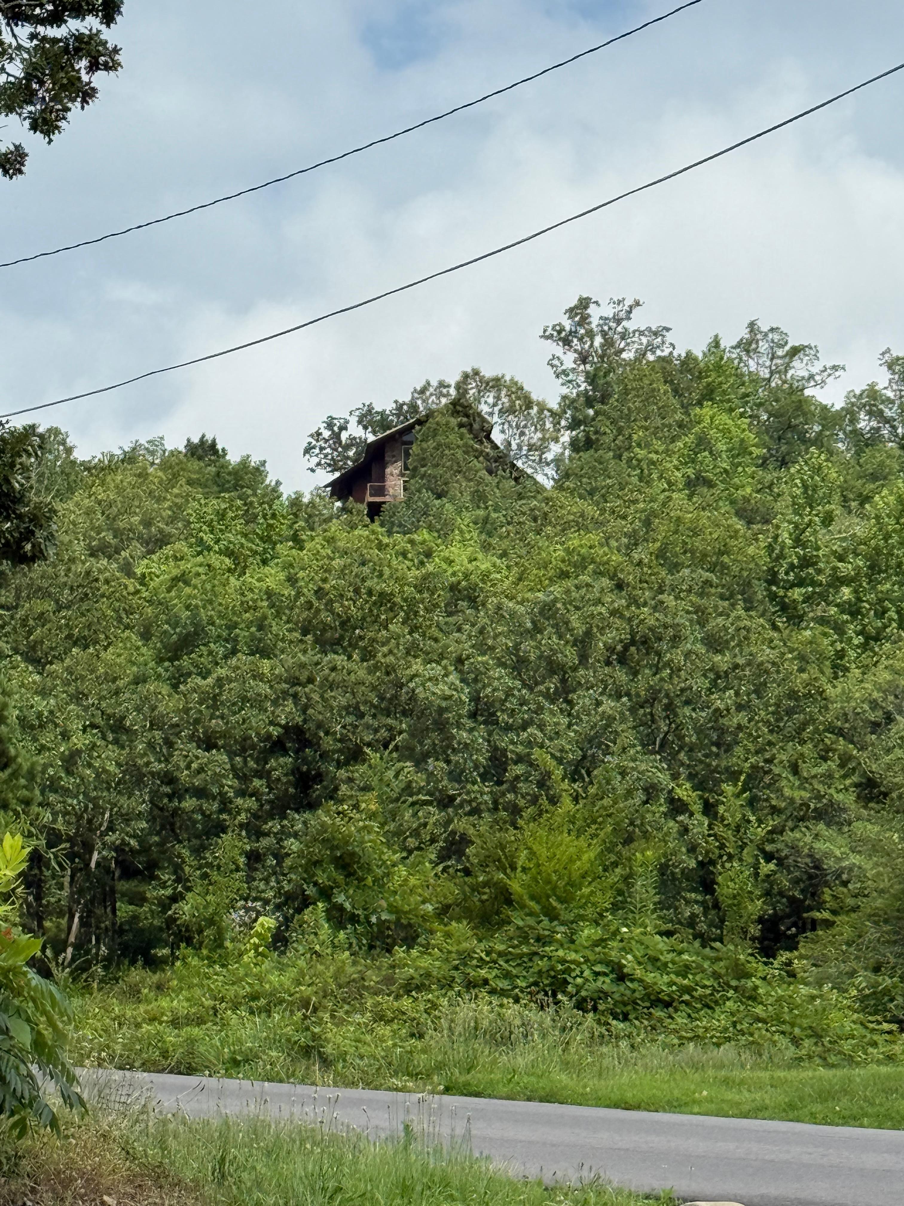 View of the property from the main road