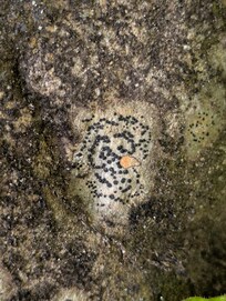 What do you see?