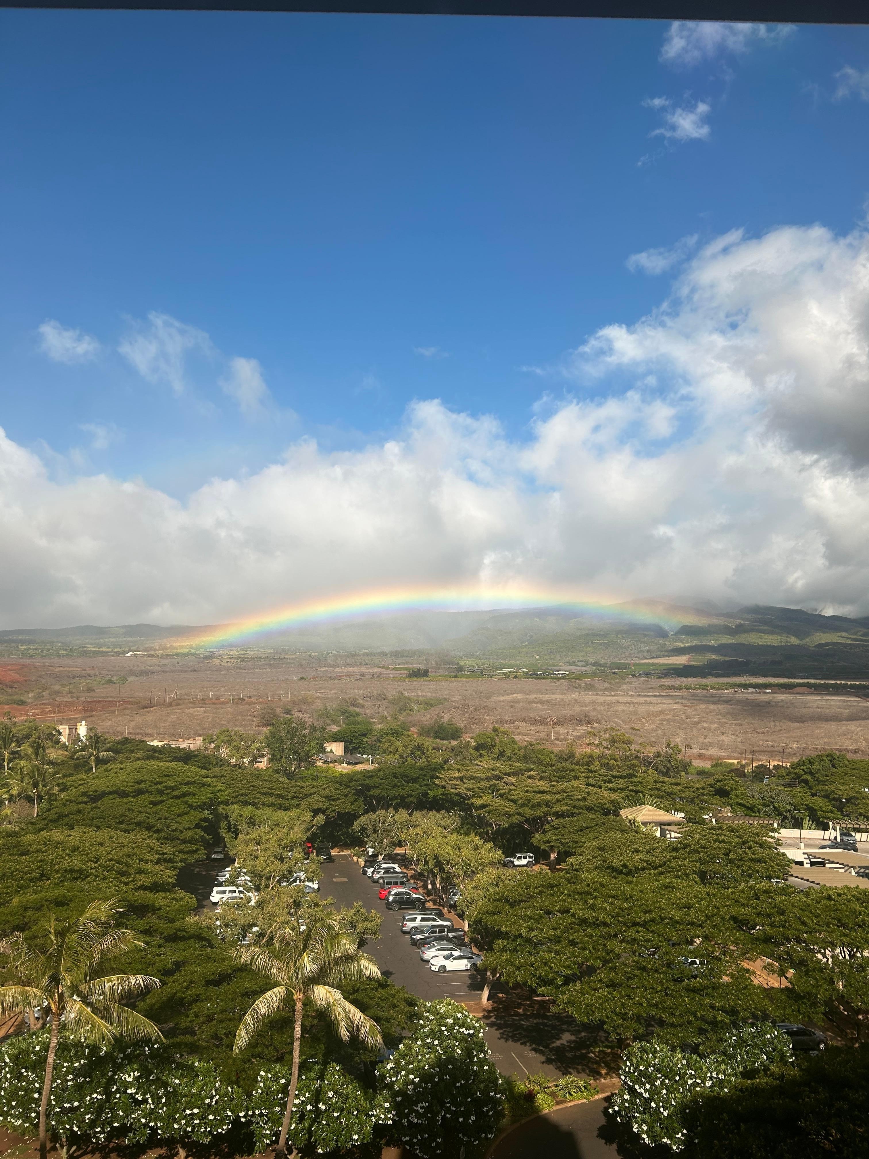 Beautiful rainbow one morning after a light mist 