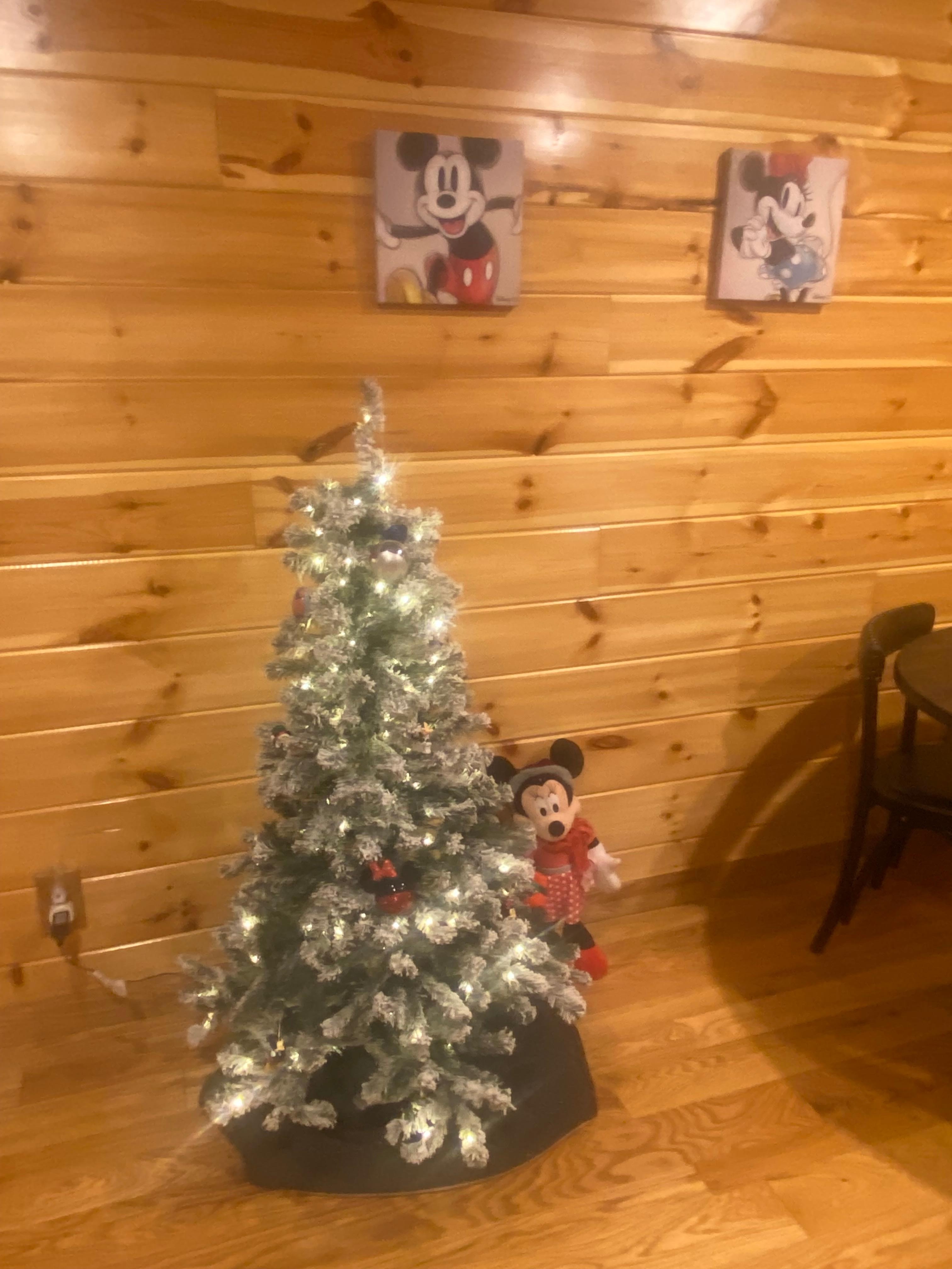 This tree was in the lower half of the main cabin 