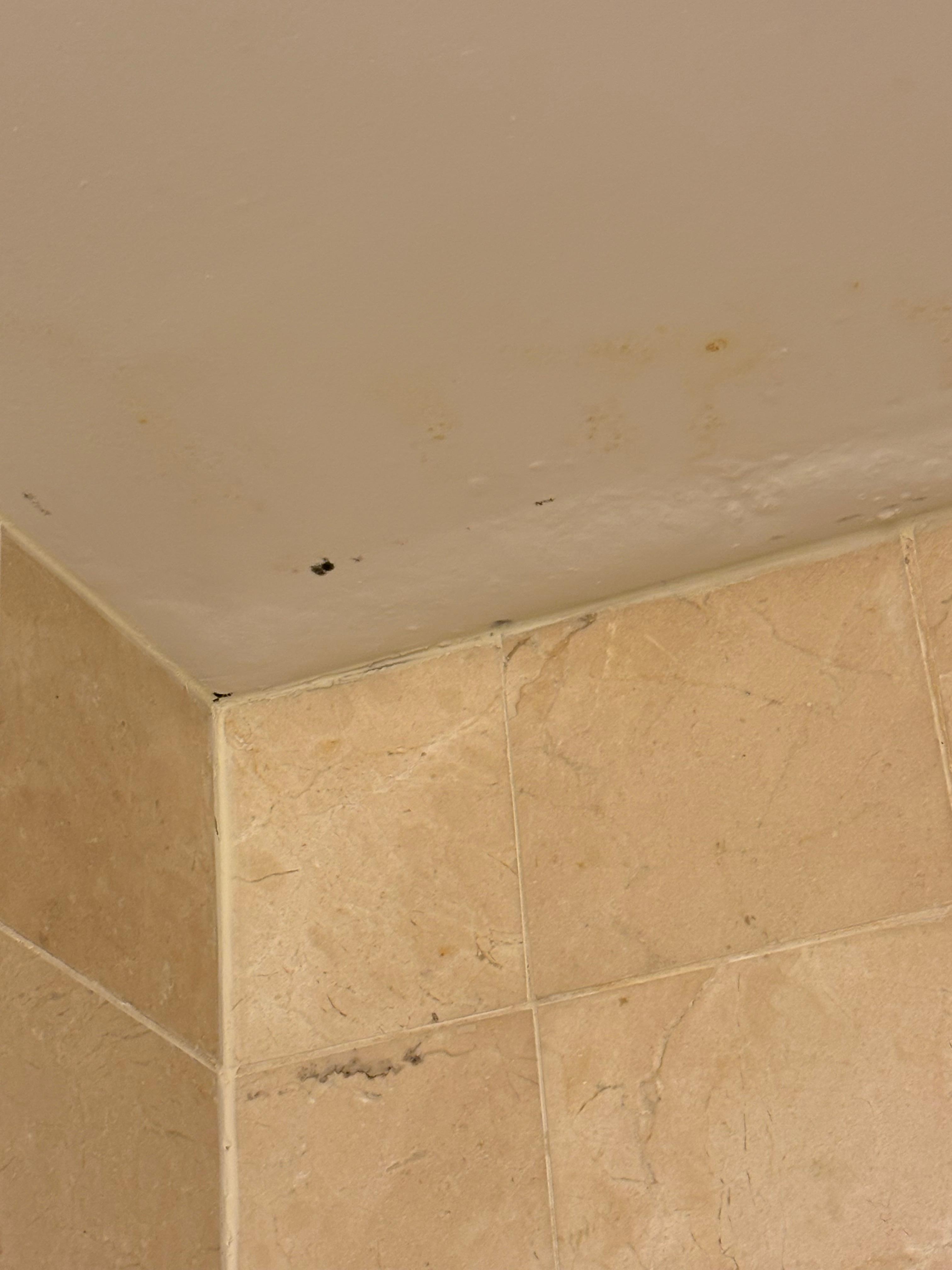 This is from room 748