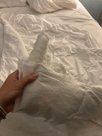 Ripped comforter 1