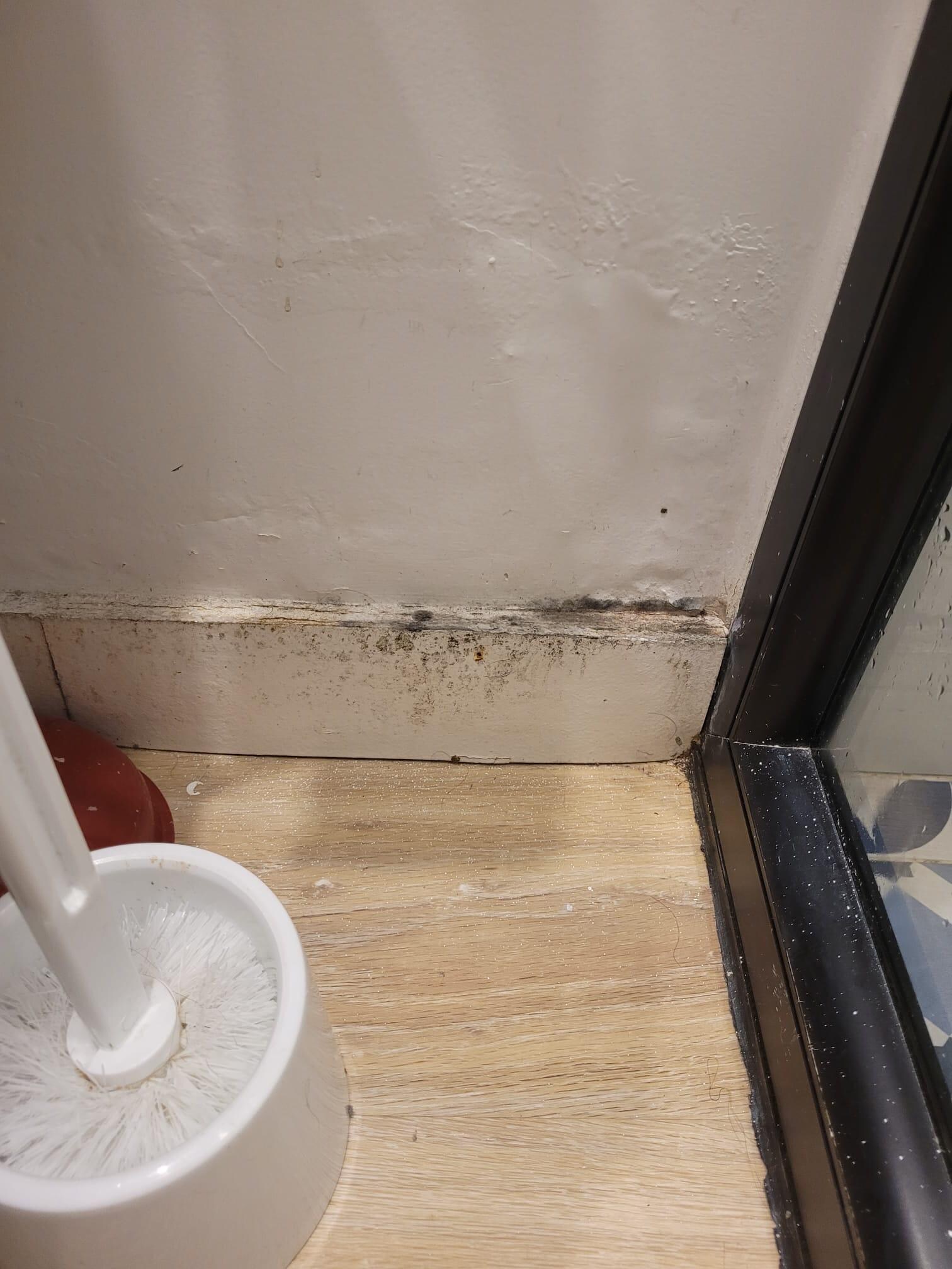 Mouldy bathrooom.