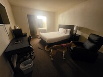 Sorry for the poor lighting - I got in late...