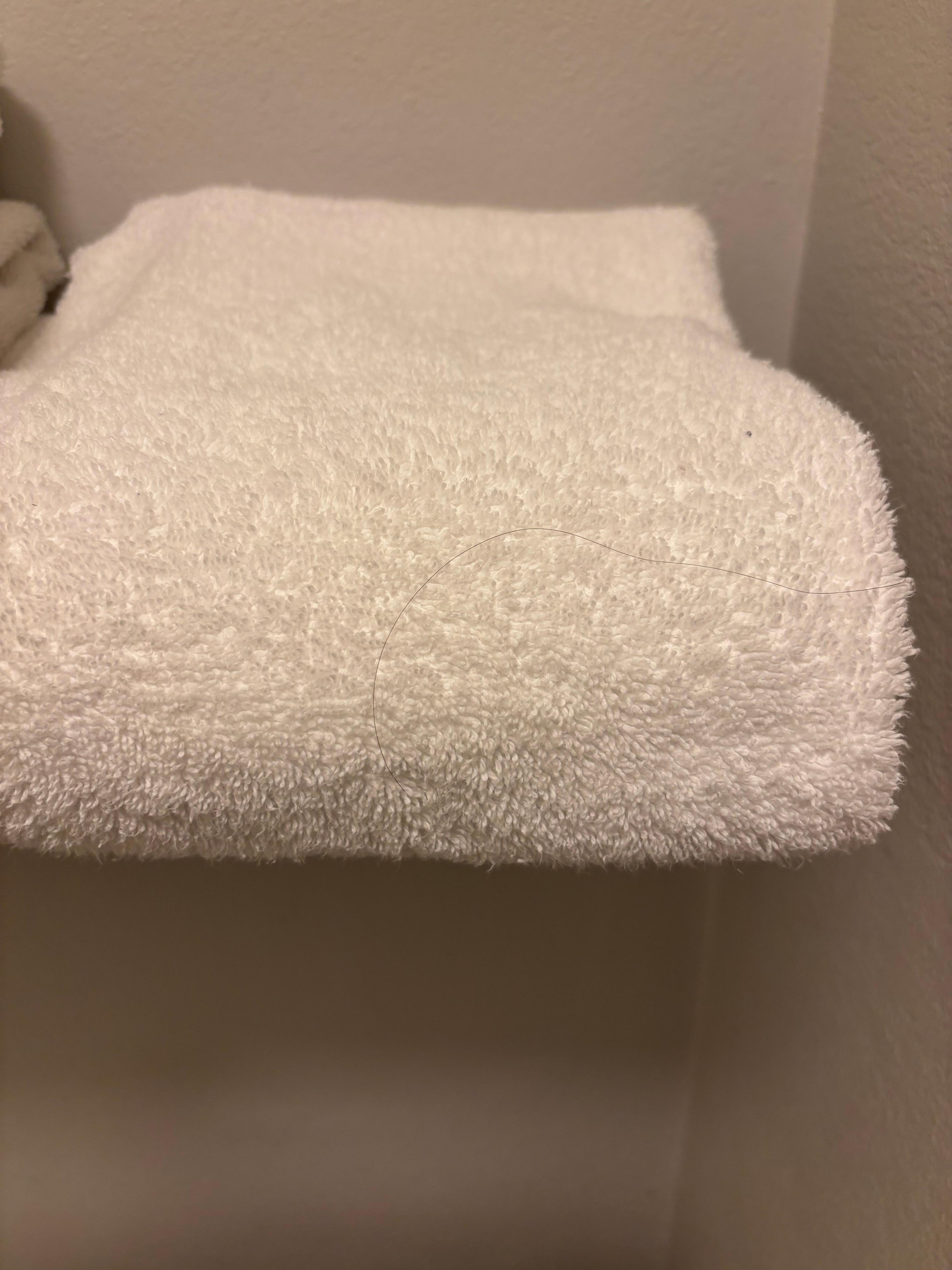 I have blonde hair. Doesn’t look blonde to me.