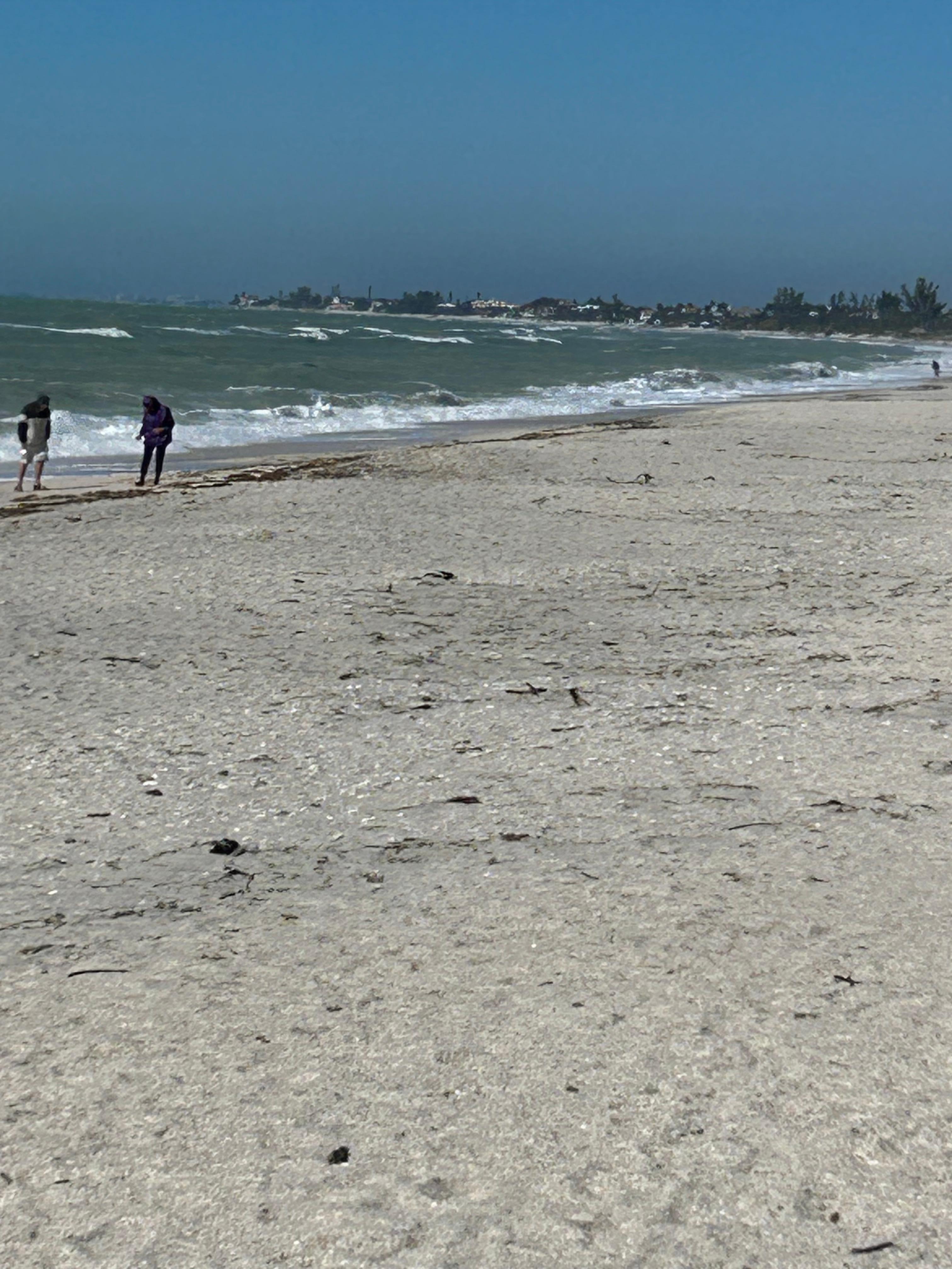 The beach on a red flag day.  But it is the weird, 2026 early winter cold  wind today.  Otherwise, like a lake.