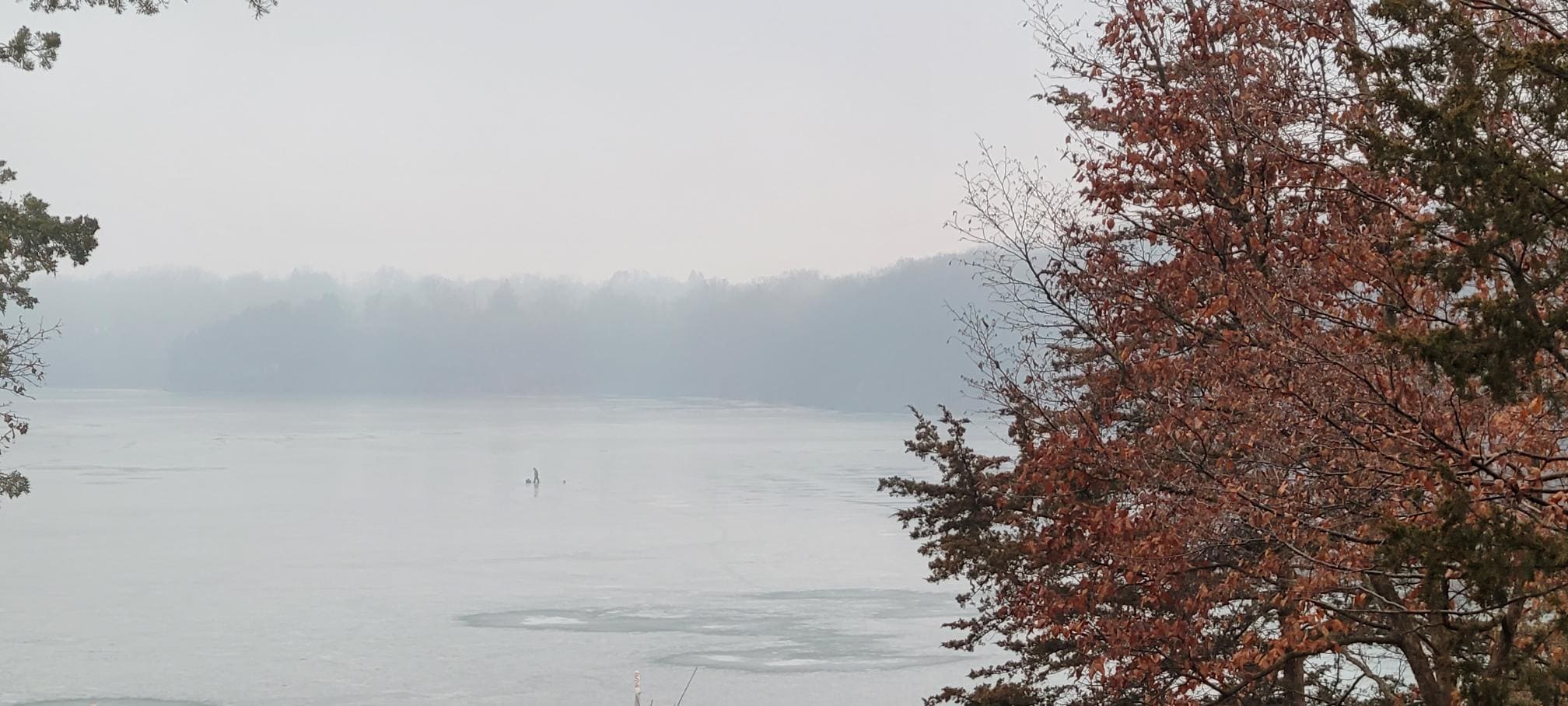 The only soul my wife and I saw on Christmas other than each other - which for this one single day - was heaven.