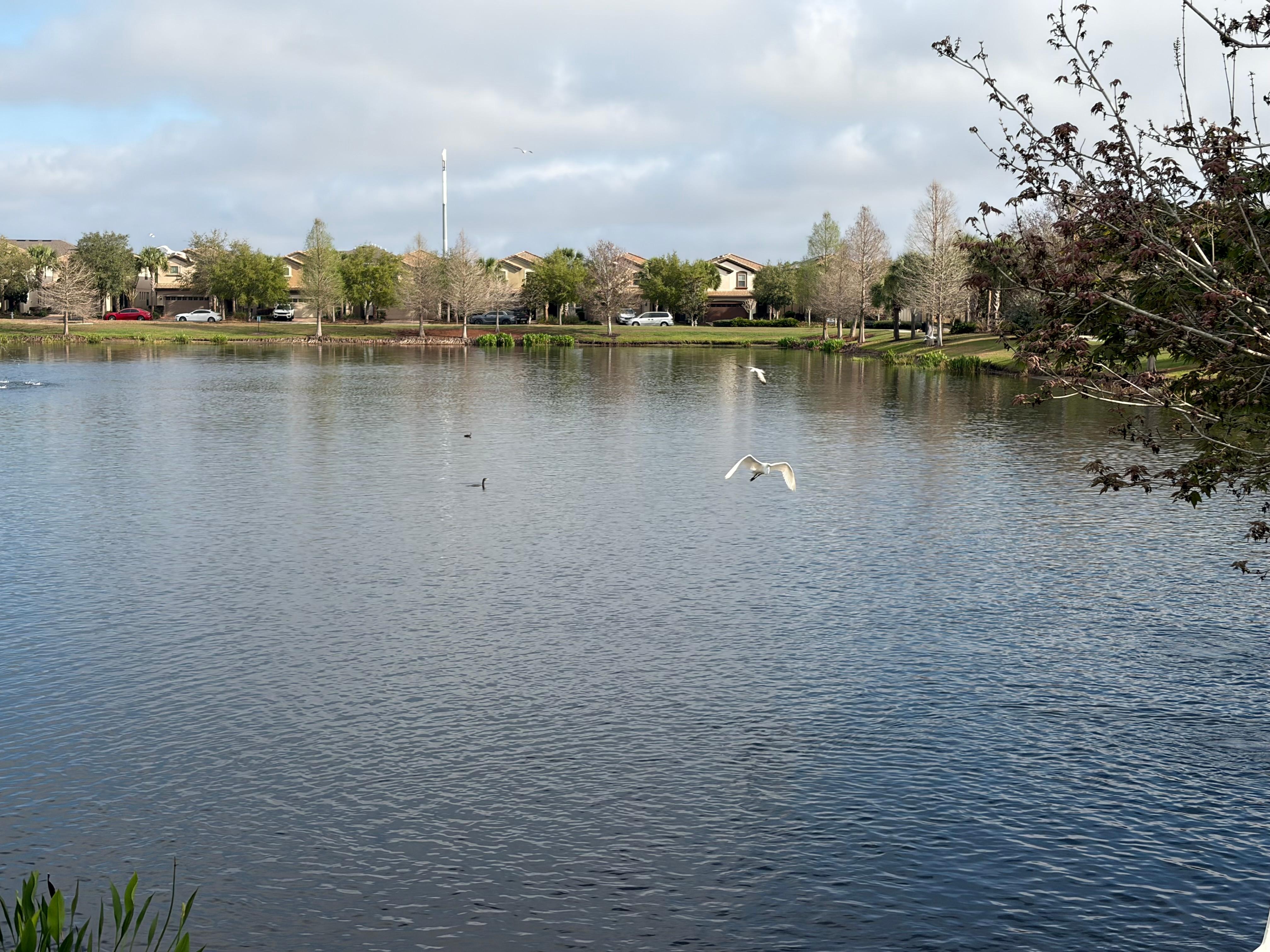 The lake right outside our house. 