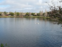The lake right outside our house.