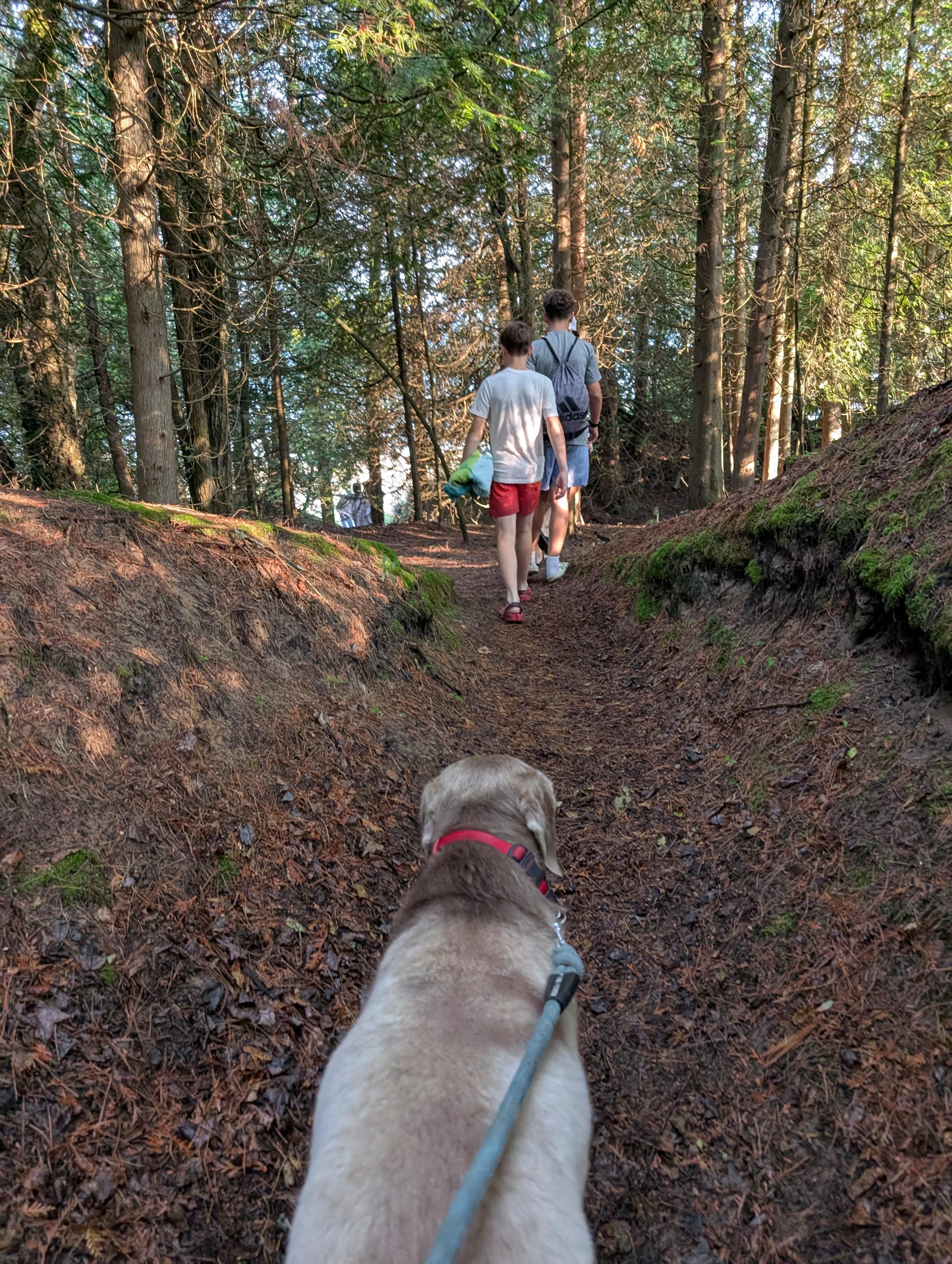 The walk over the dune to the beach.