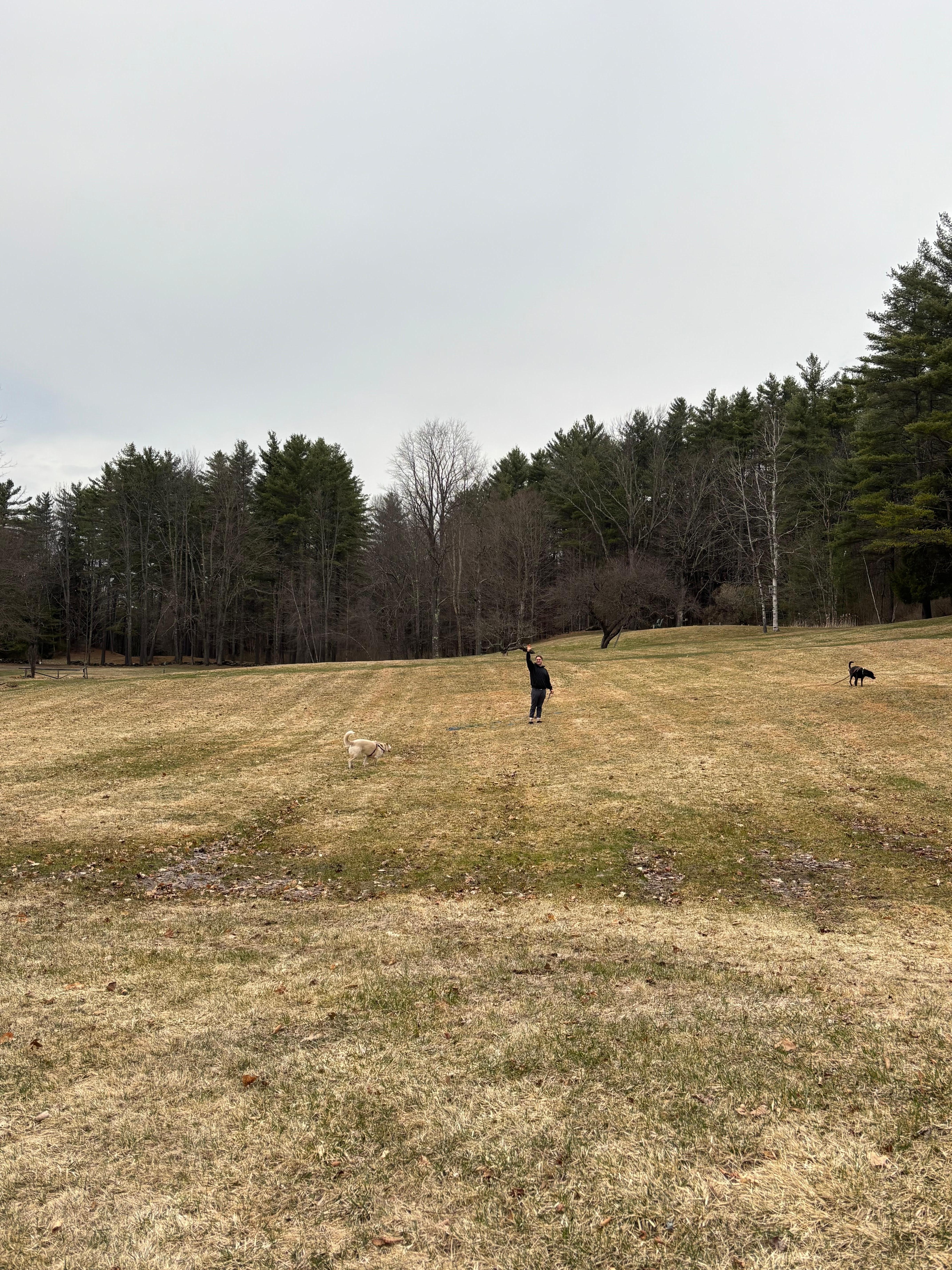 Meadow right out the front door