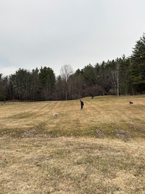 Meadow right out the front door