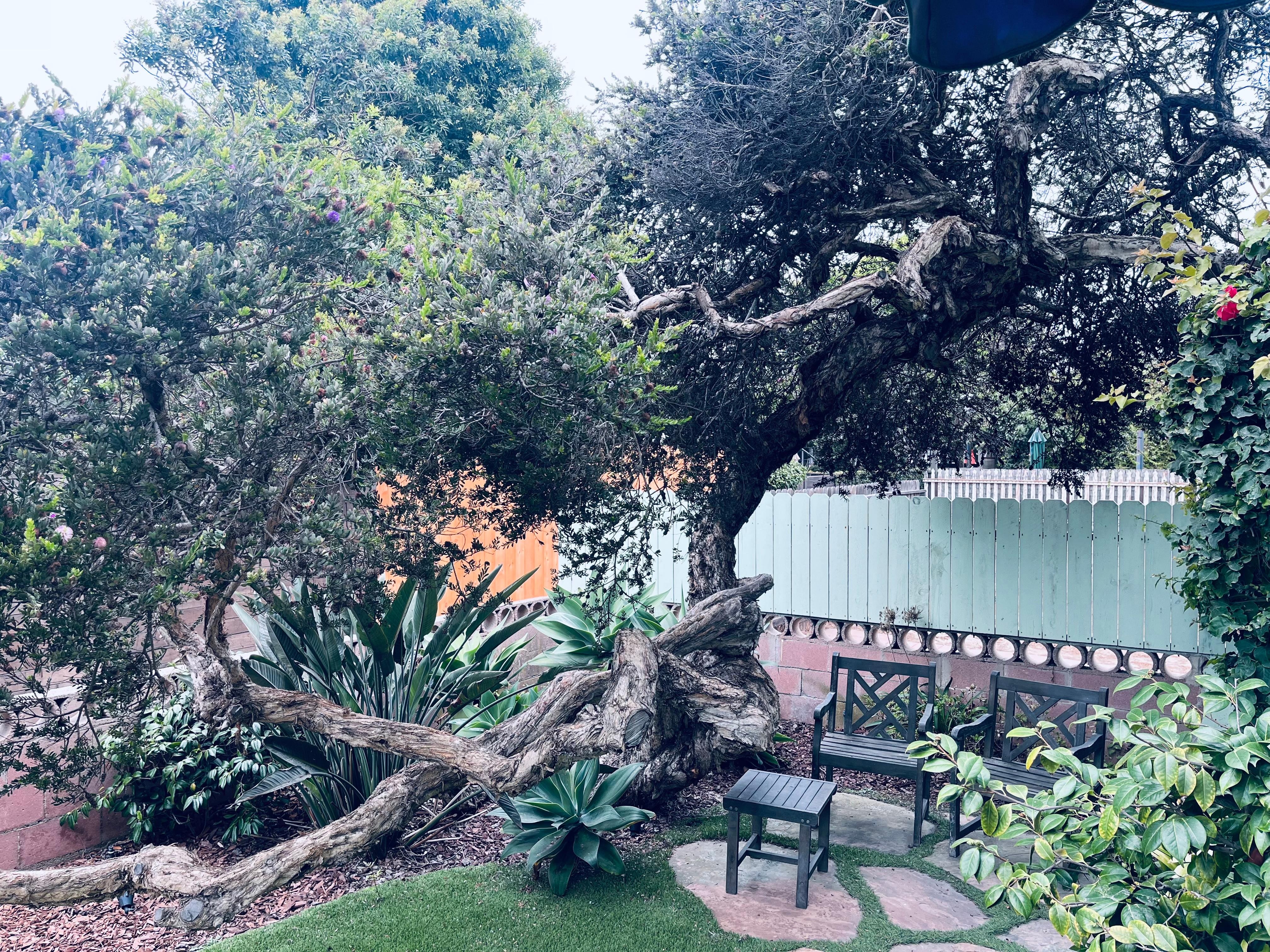 Cute little courtyard 