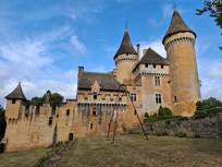 Le chateau de Puymartin