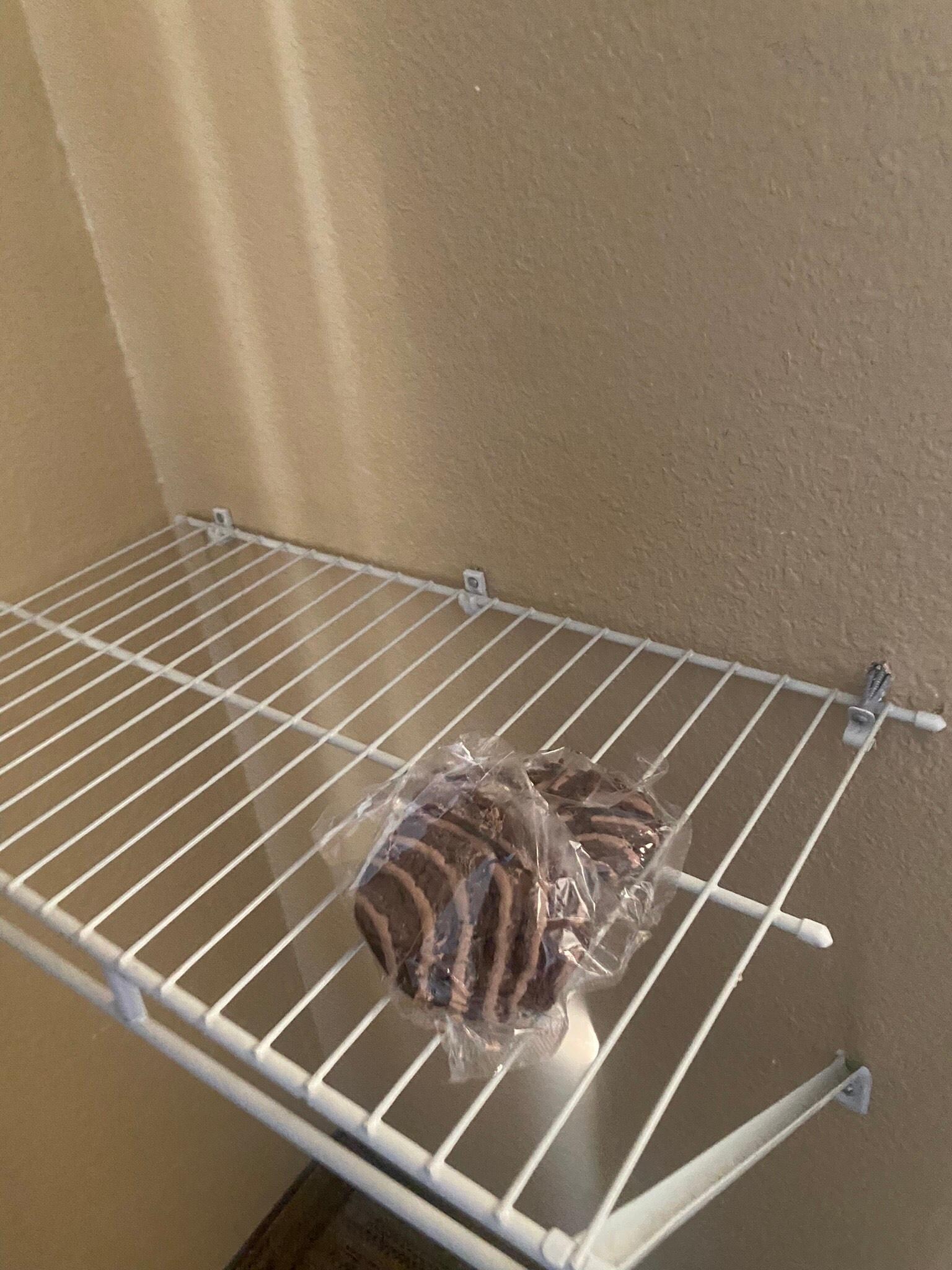 Left food in the room in an obvious place