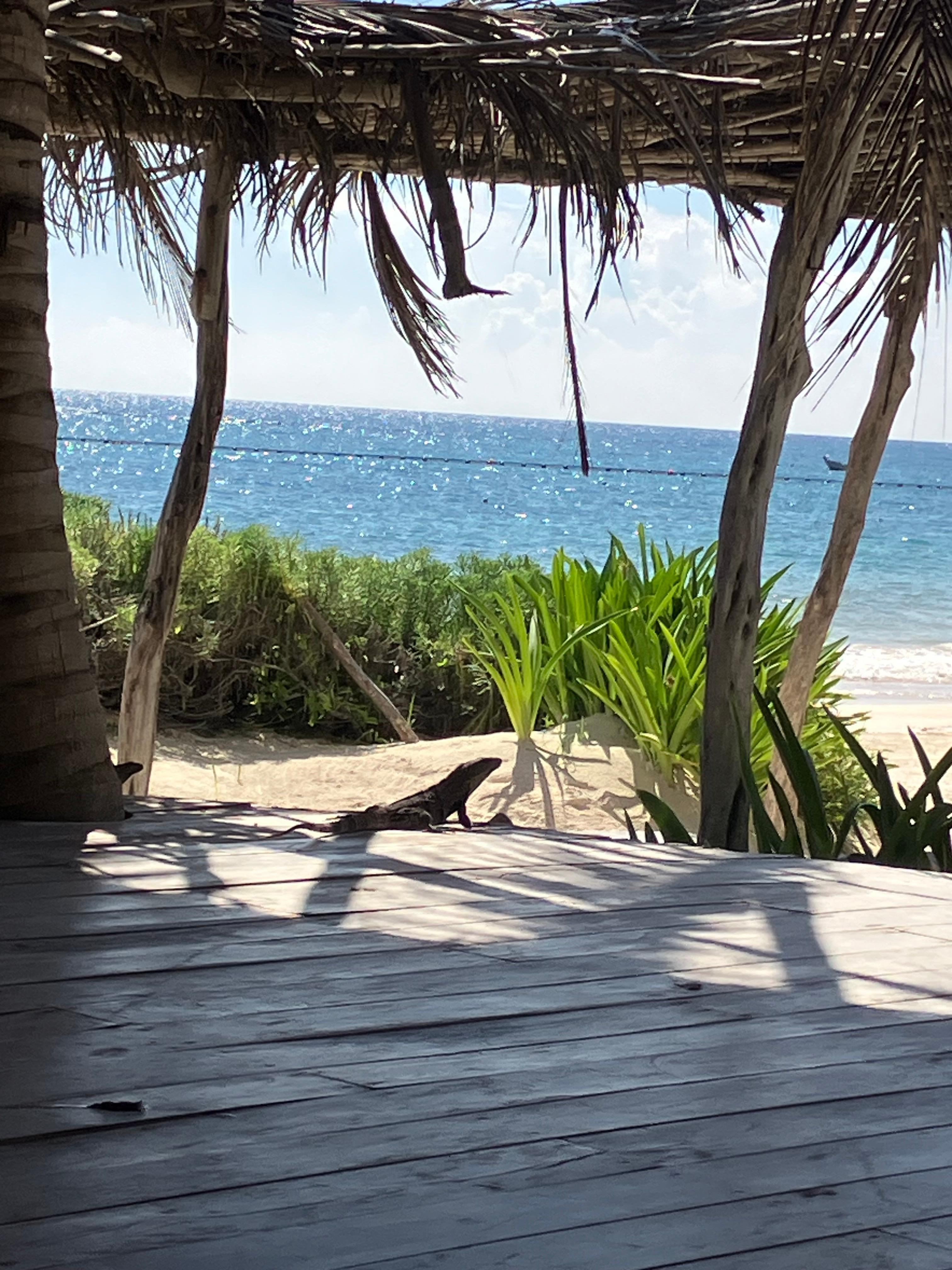 Yoga class with a “friend”