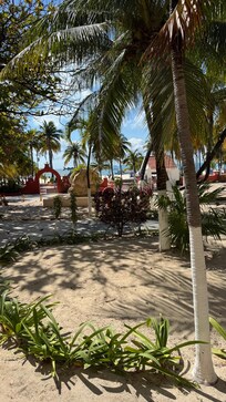 View from our front porch