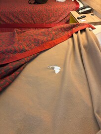 The first room blanket